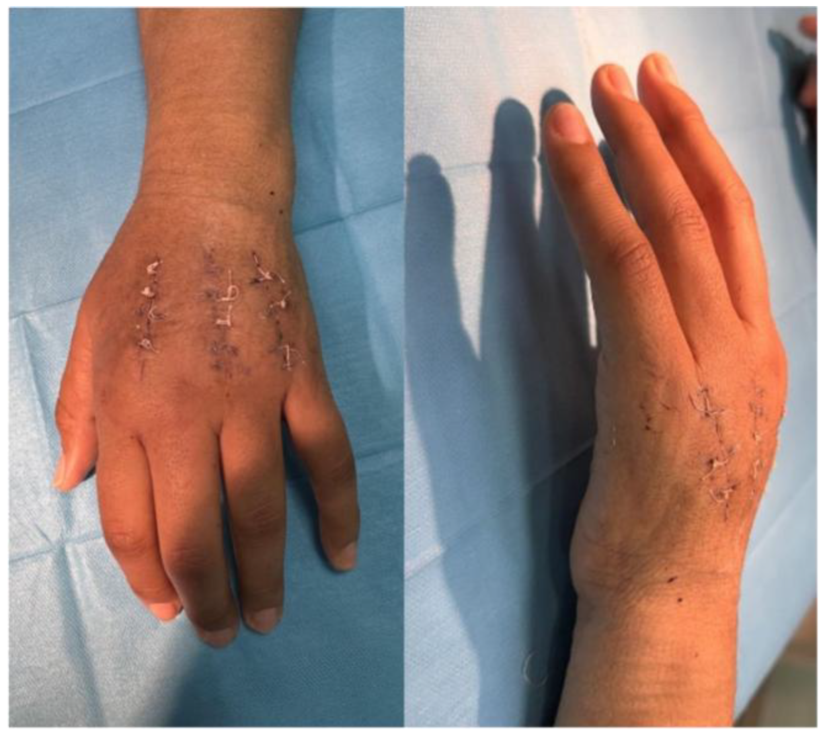 Preprints 174399 g004