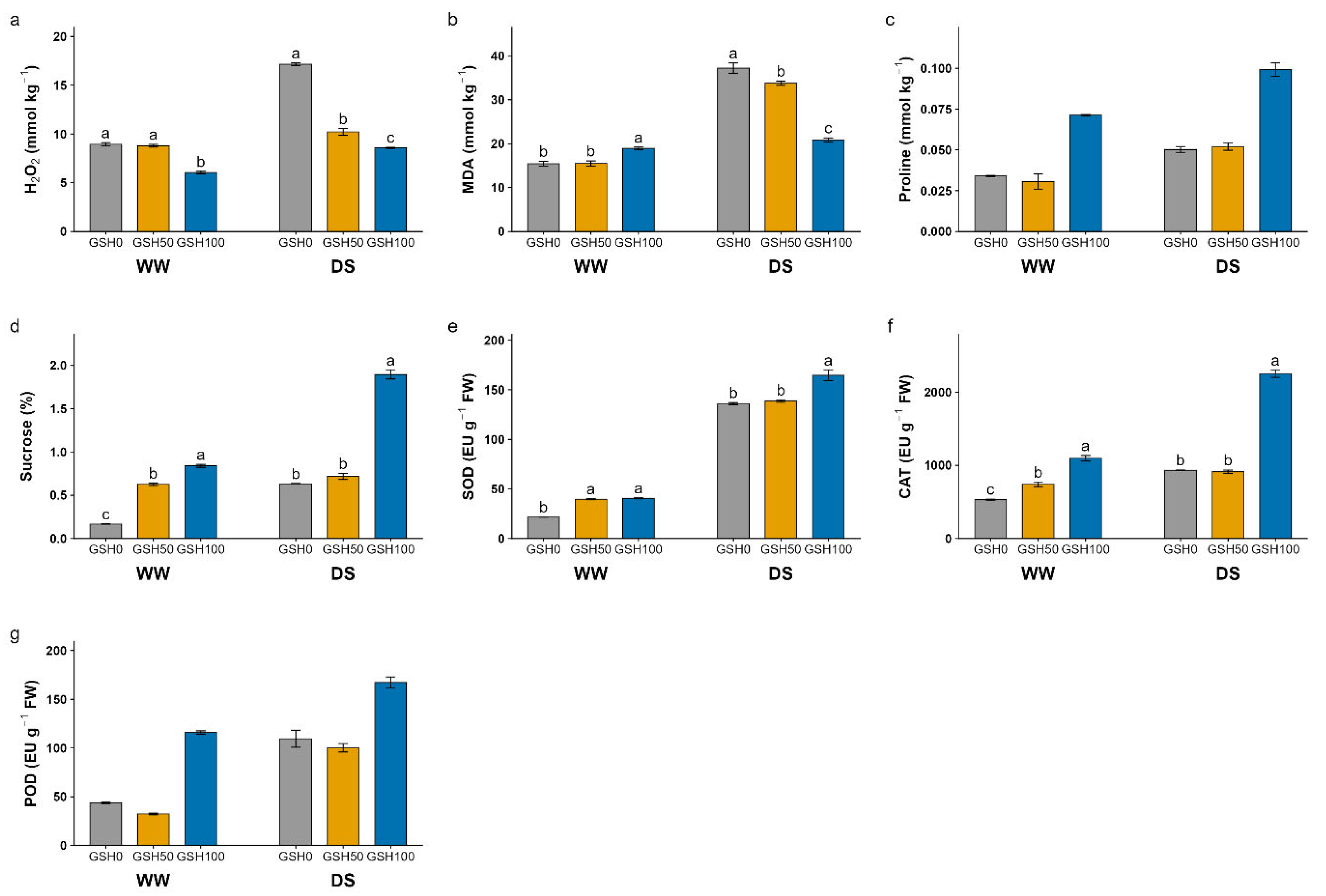 Preprints 227408 g004 Preprints 227408 g004