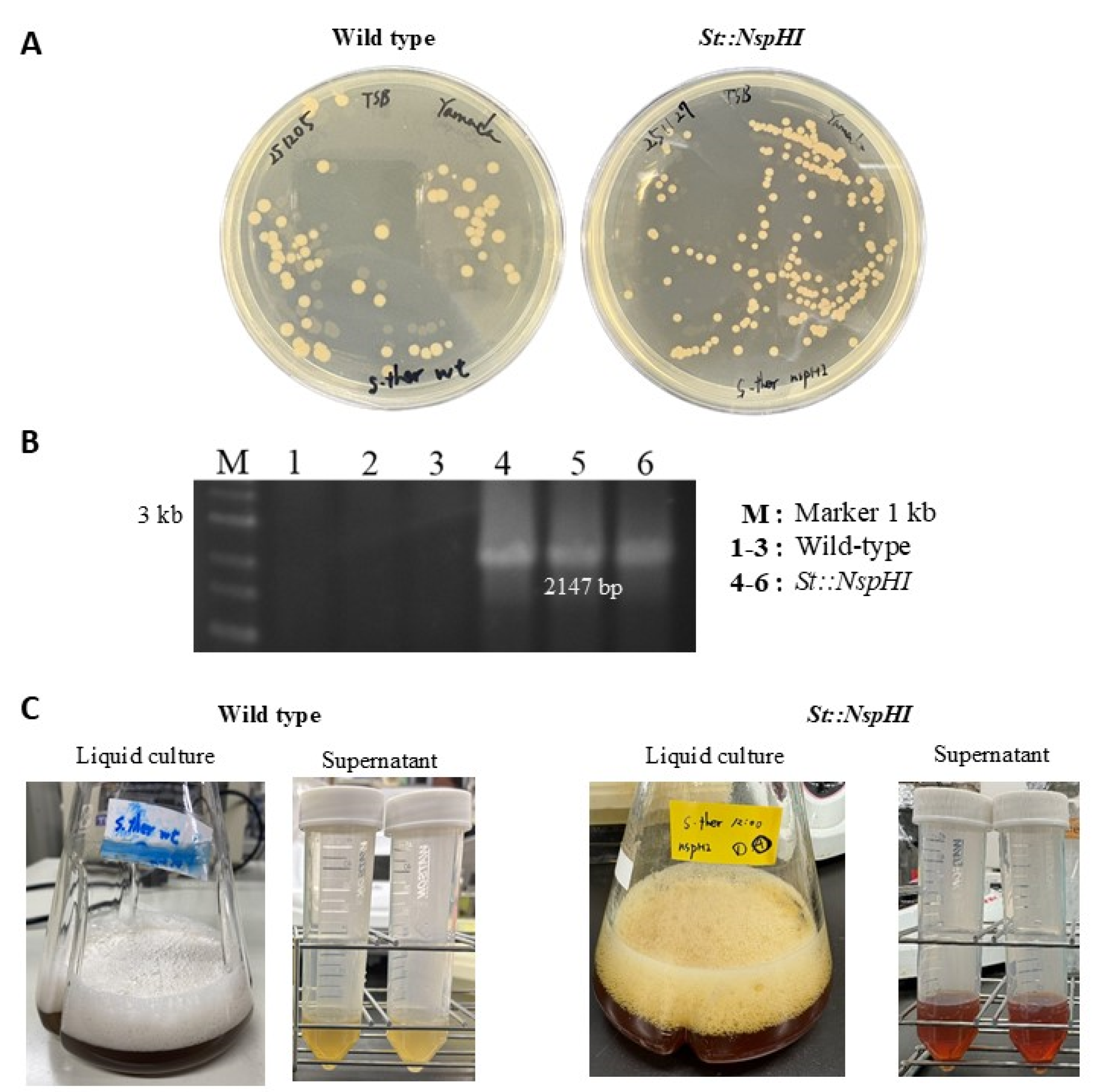 Preprints 192720 g003