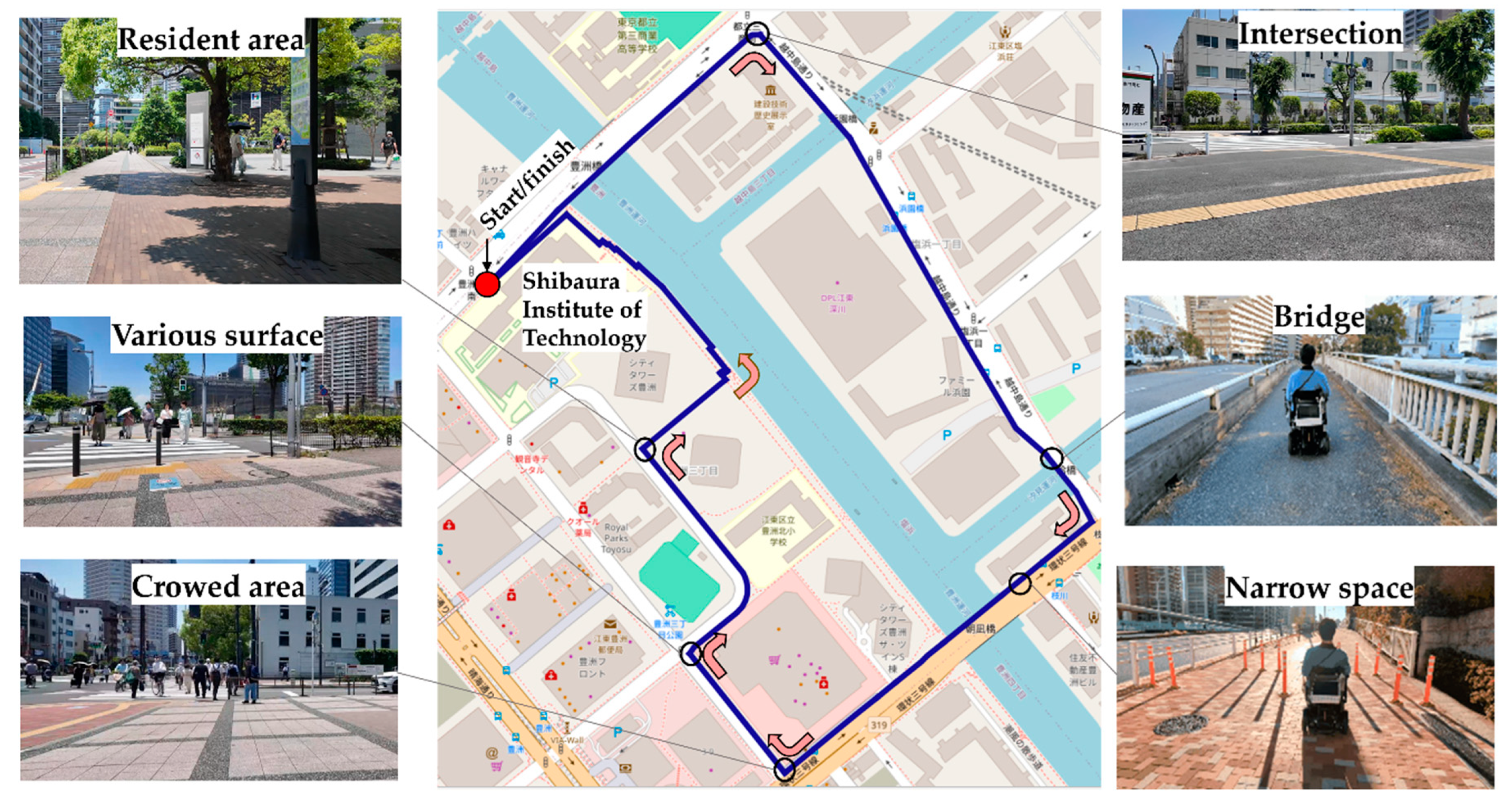 Preprints 197641 g002