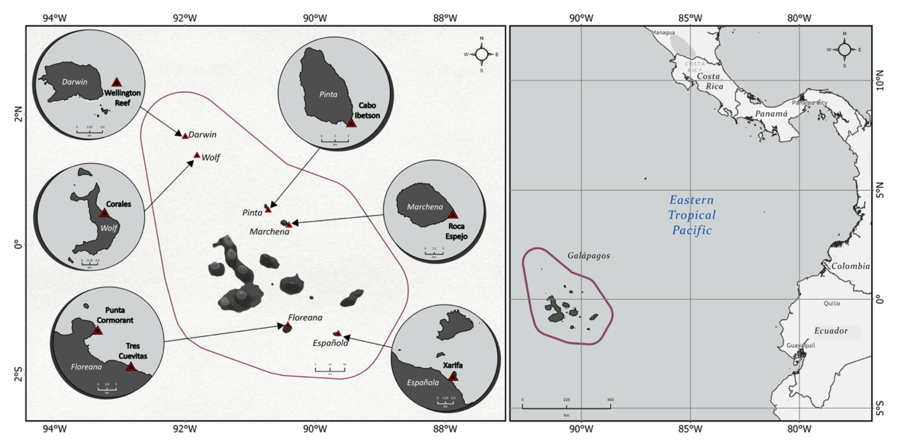 Preprints 153869 g001