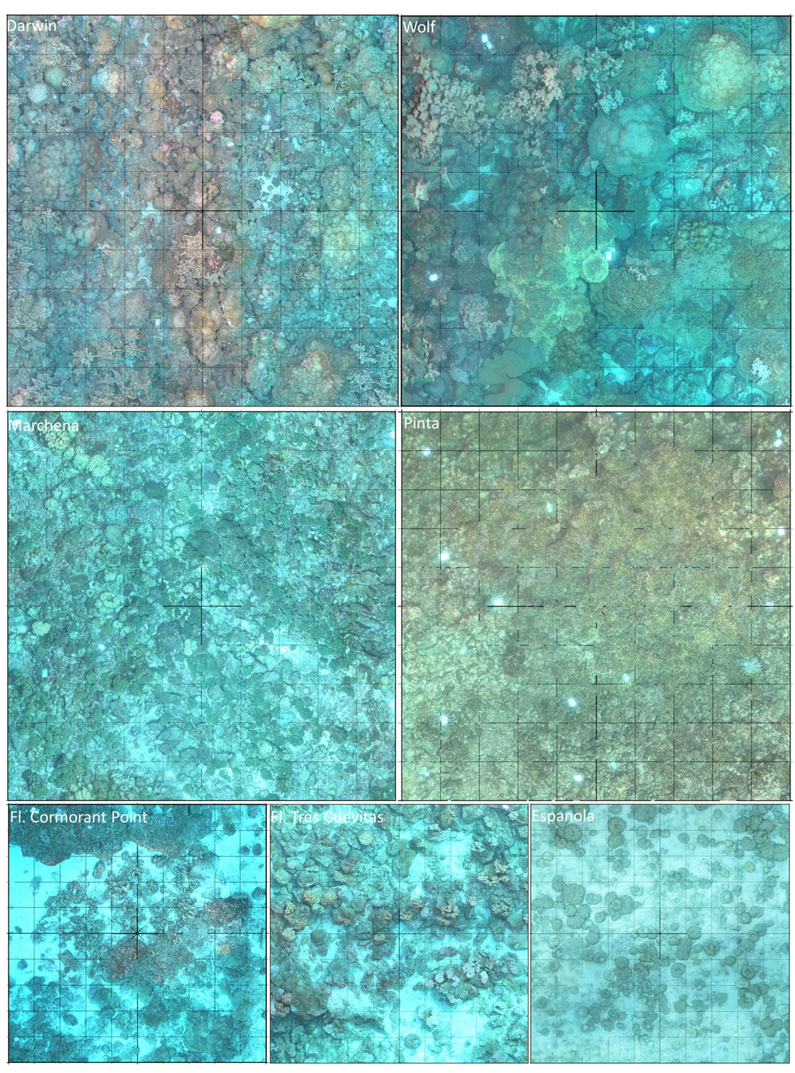 Preprints 153869 g002