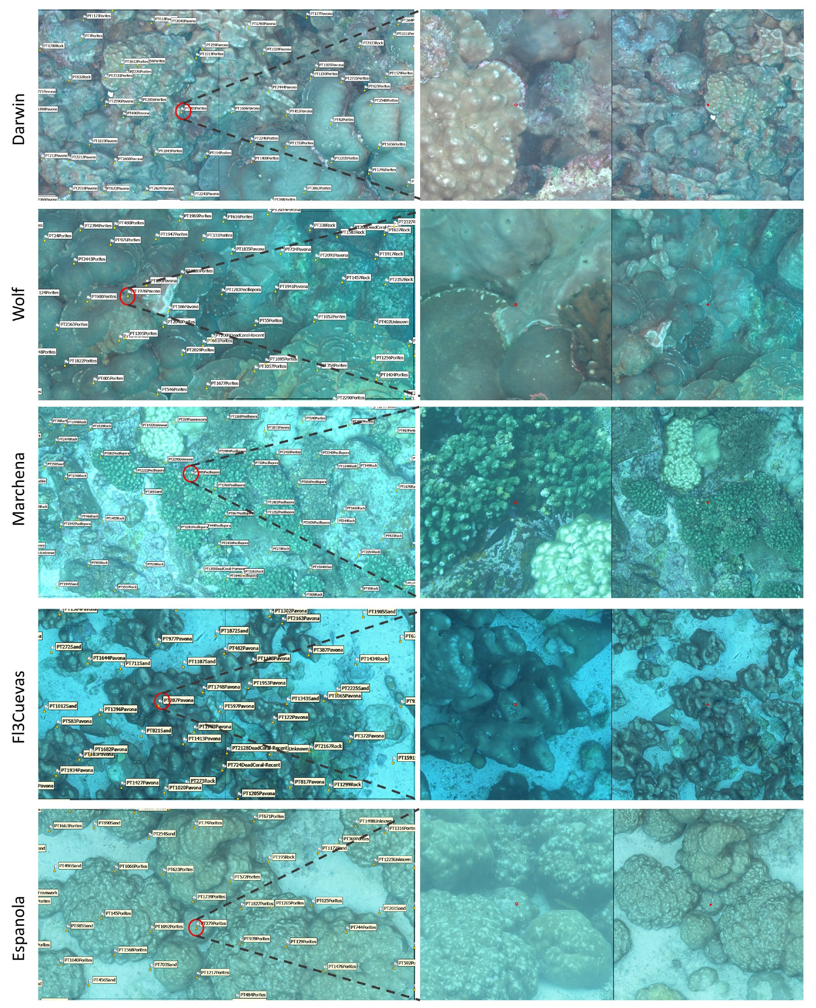 Preprints 153869 g003