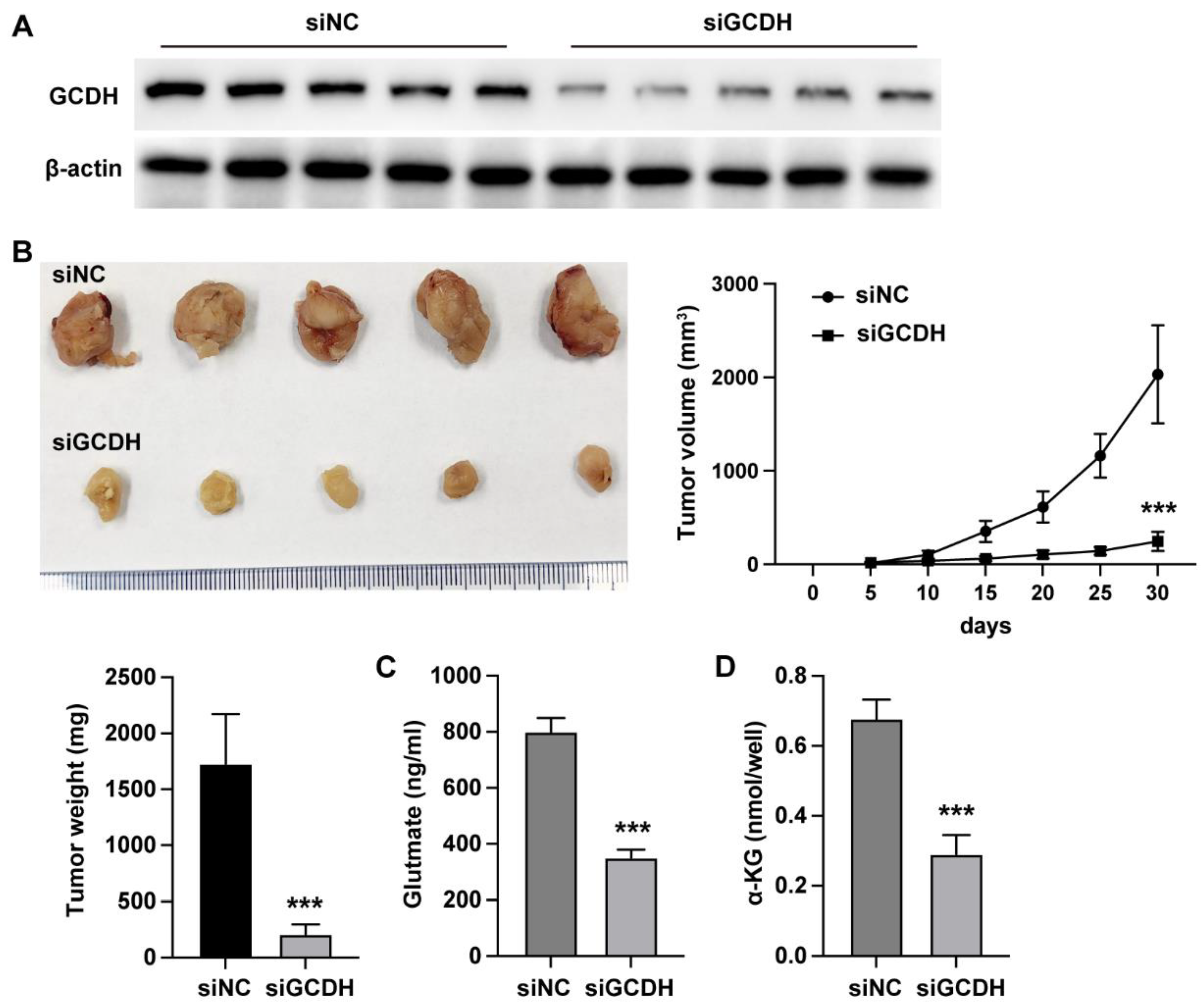 Preprints 164871 g002