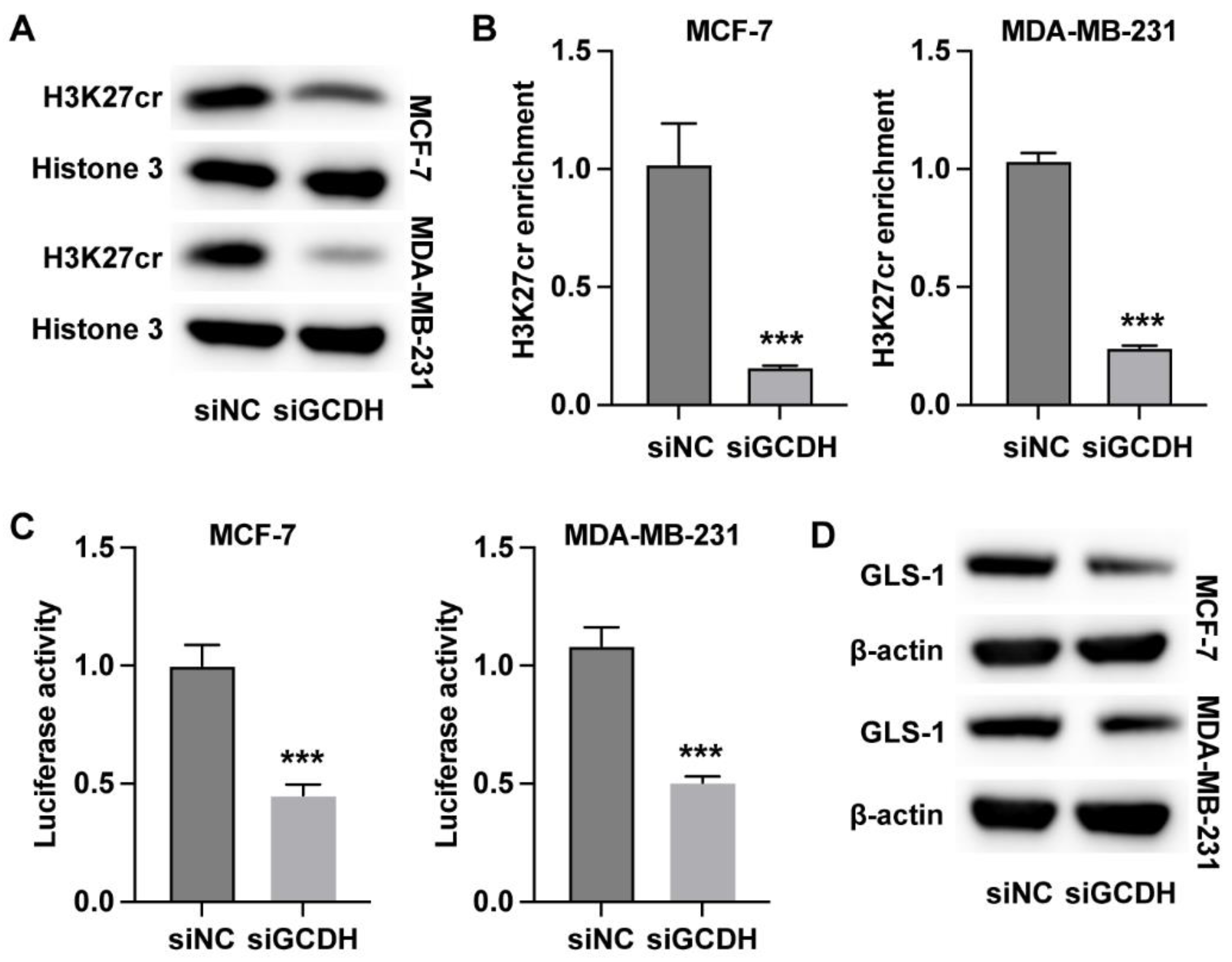 Preprints 164871 g003