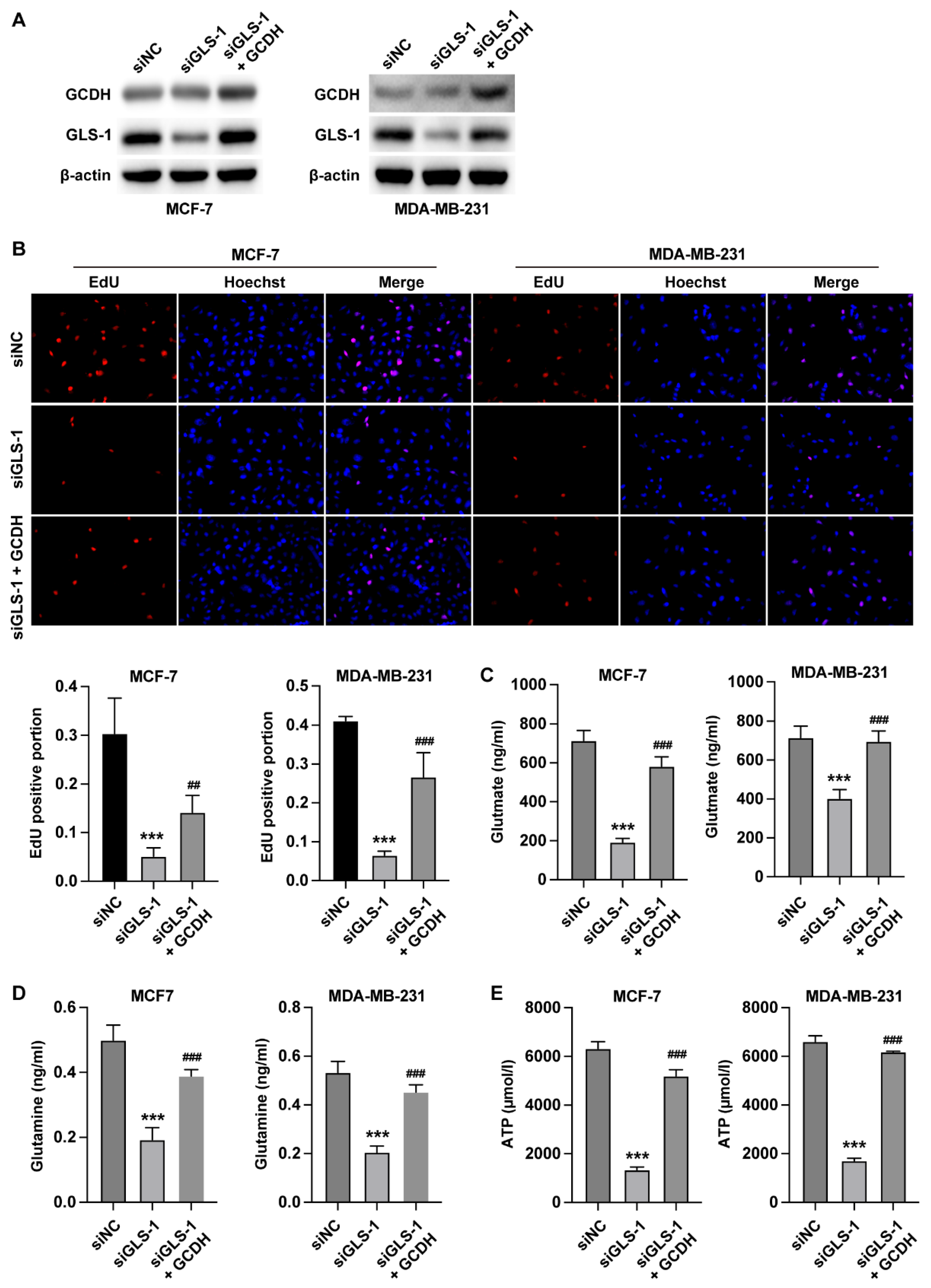 Preprints 164871 g004