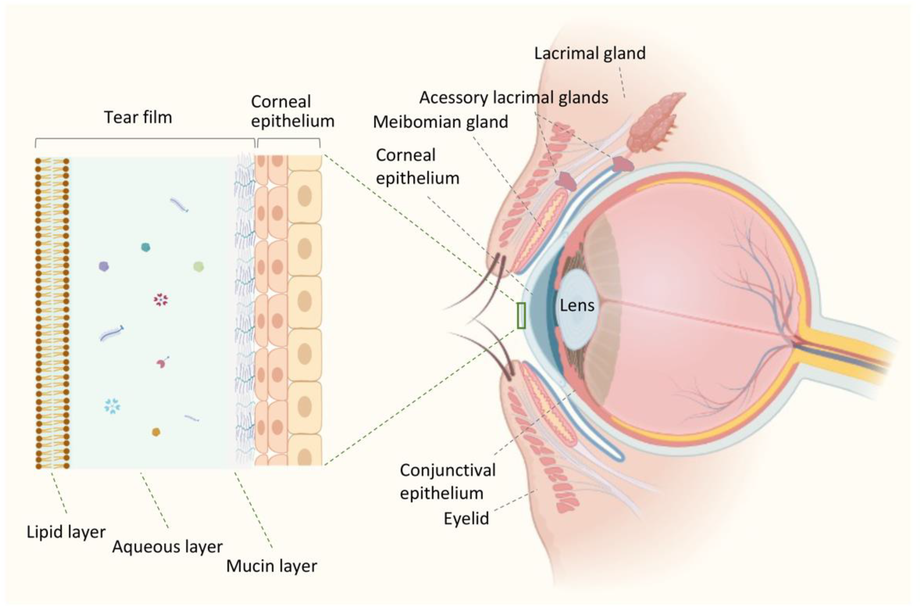 Preprints 73459 g001