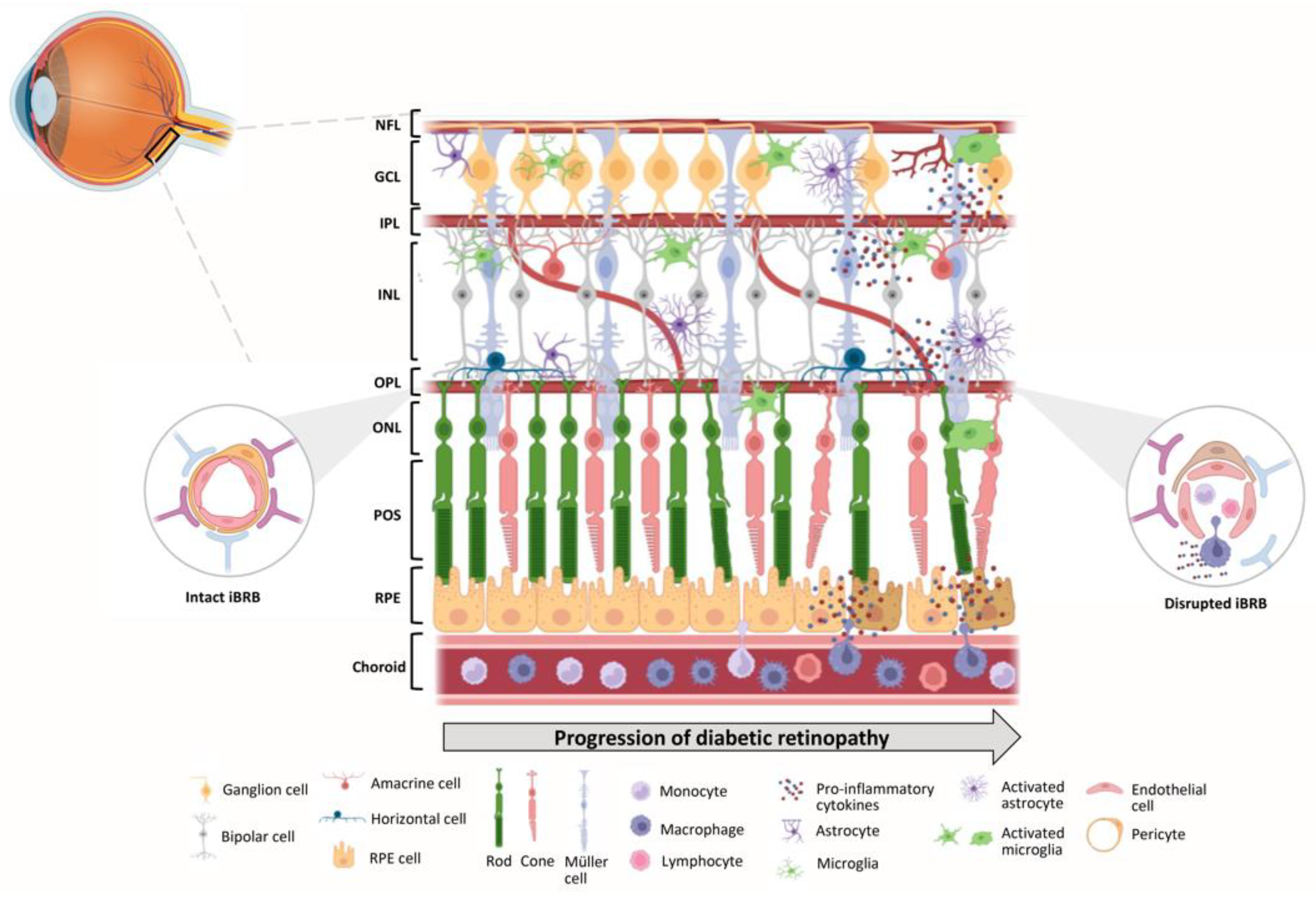 Preprints 73459 g003