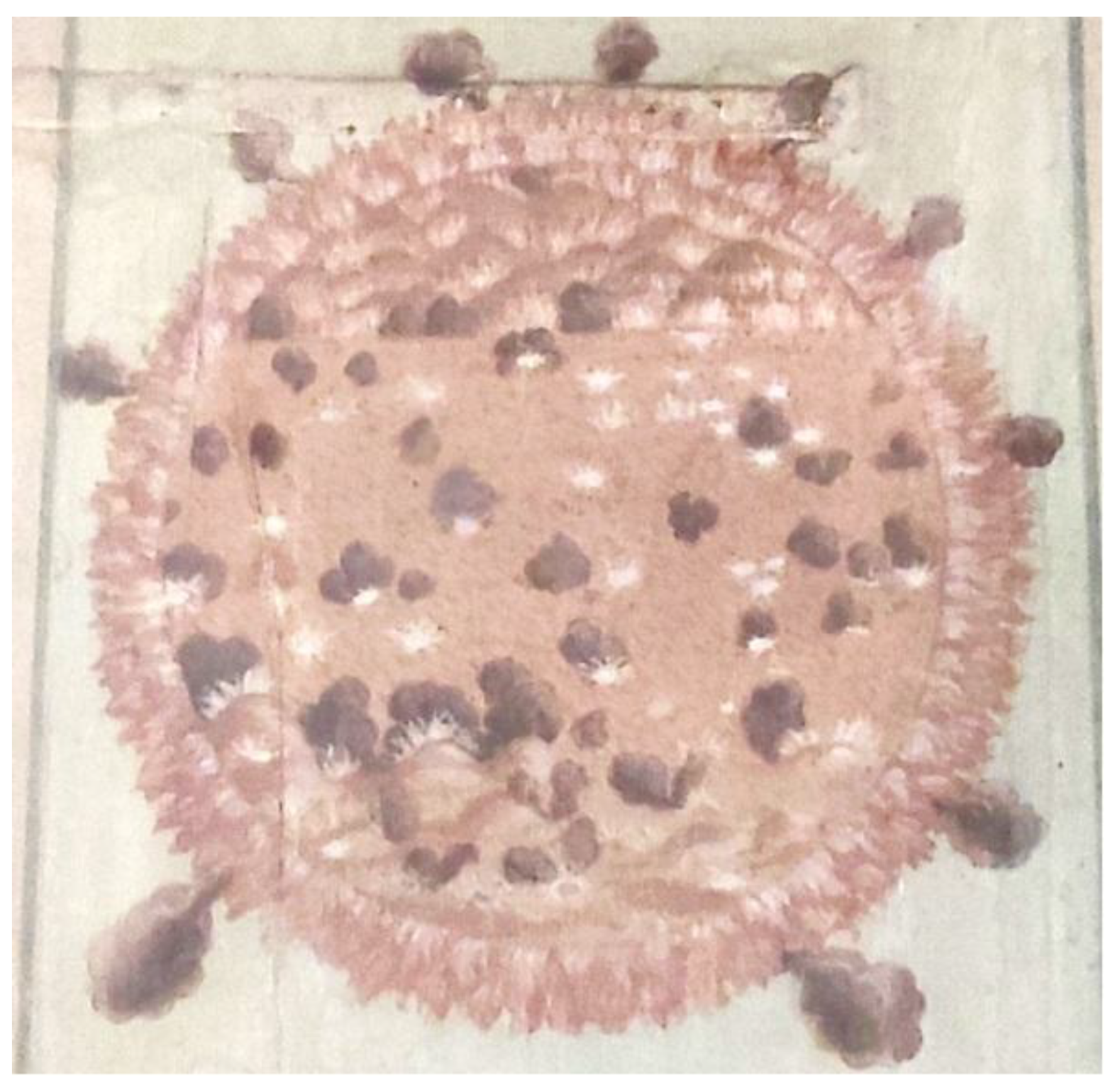 Preprints 171575 g011