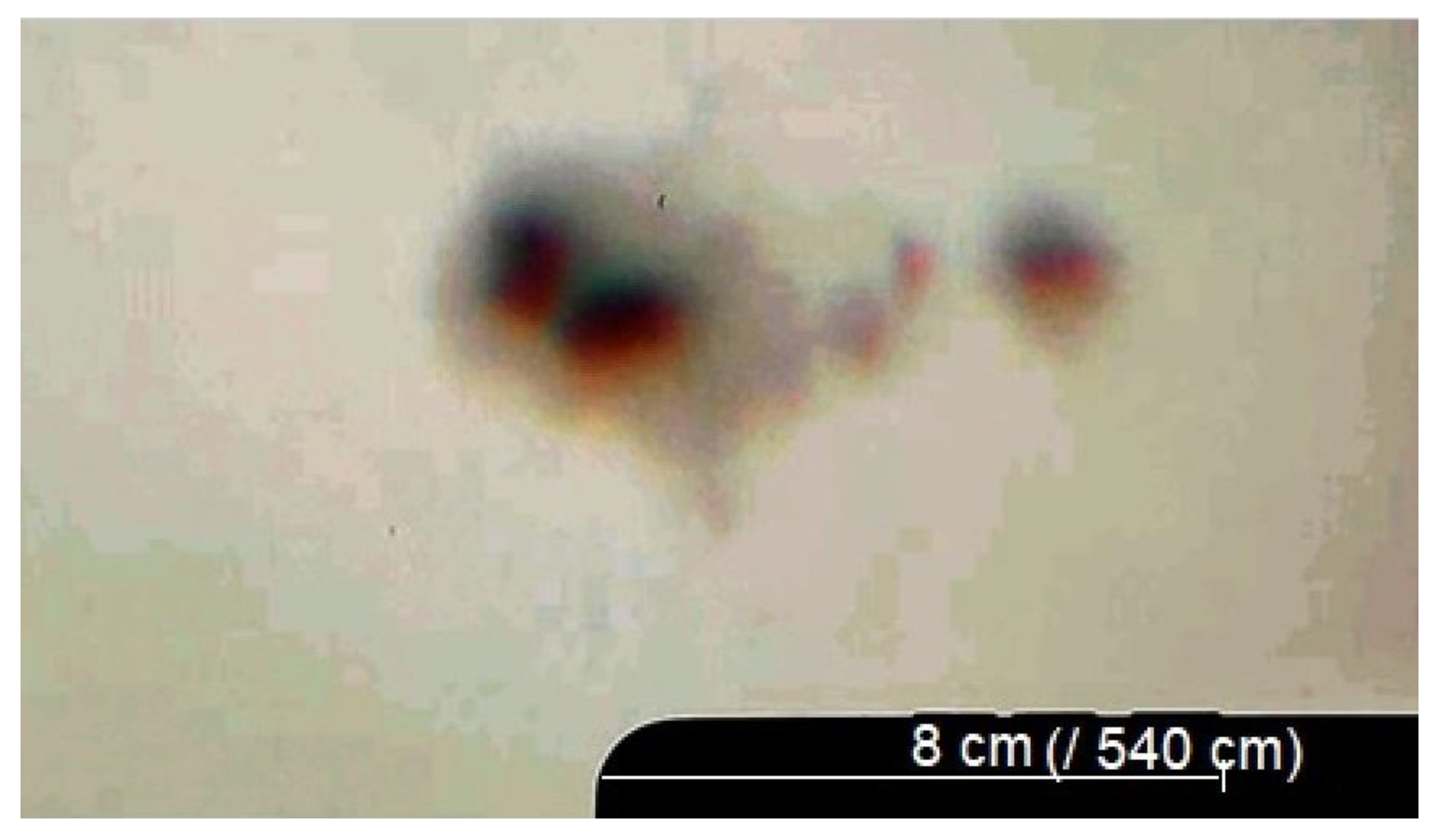 Preprints 171575 g016