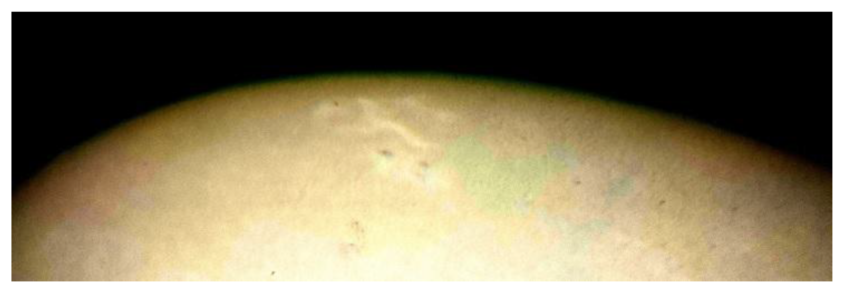 Preprints 171575 g017