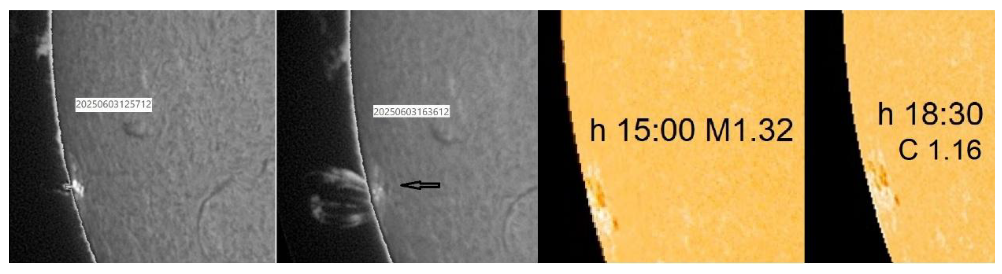 Preprints 171575 g018