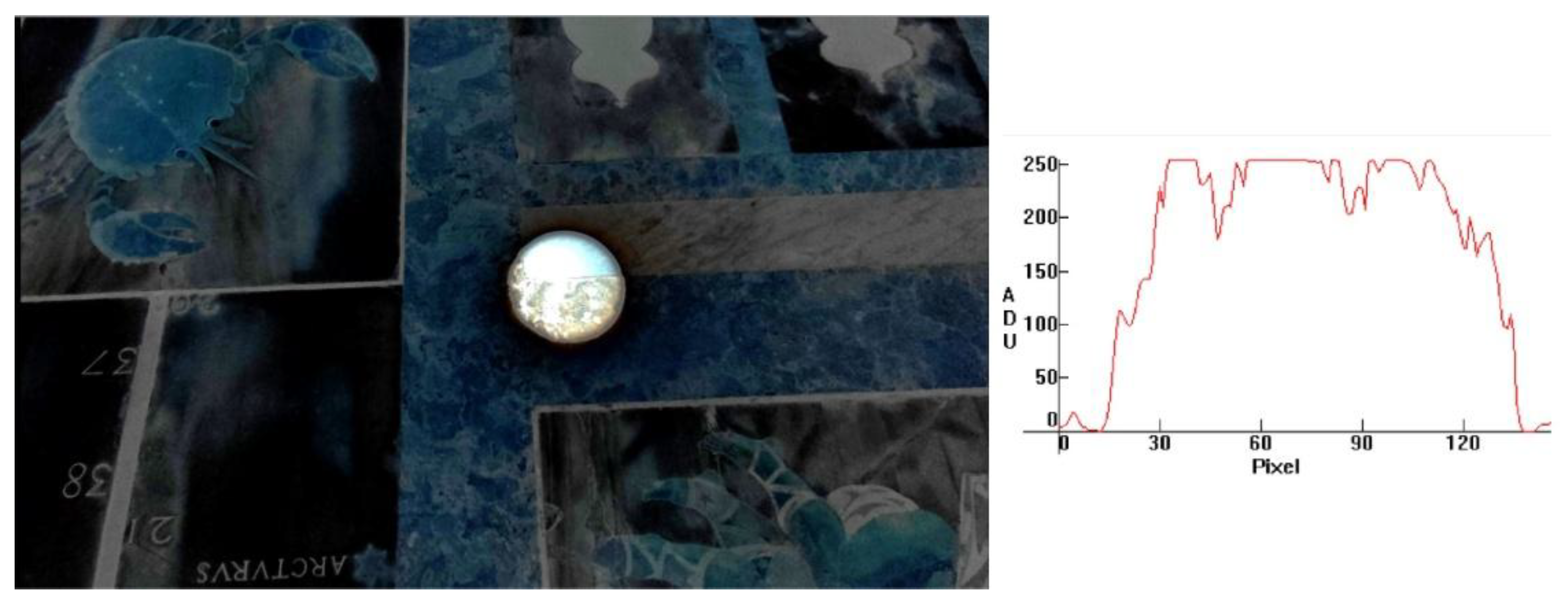 Preprints 171575 g020