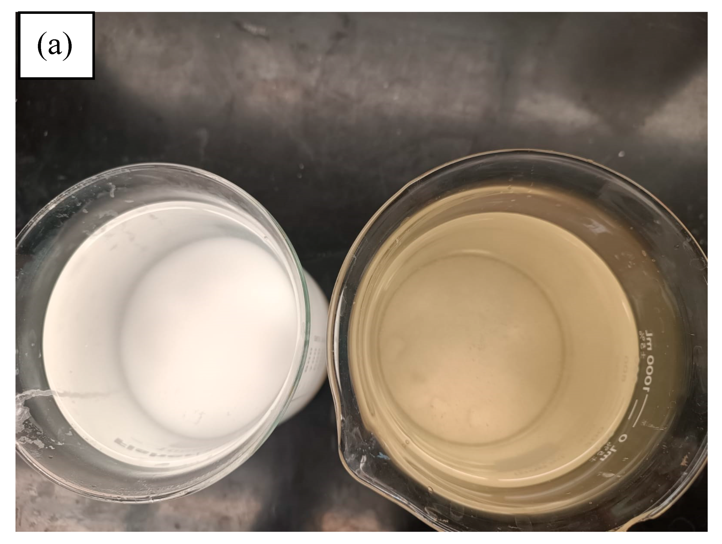 Preprints 99956 g004