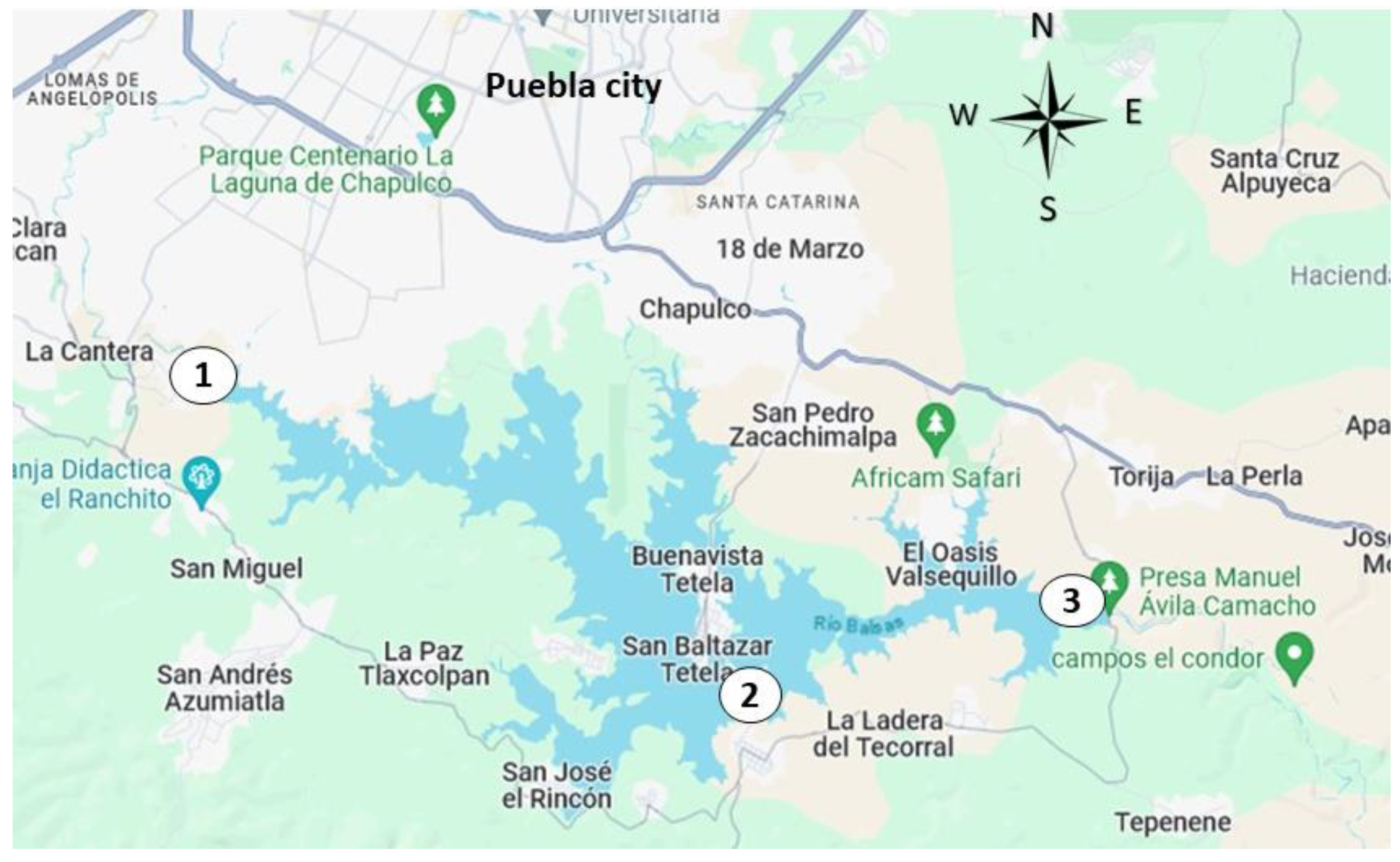 Preprints 139817 g016