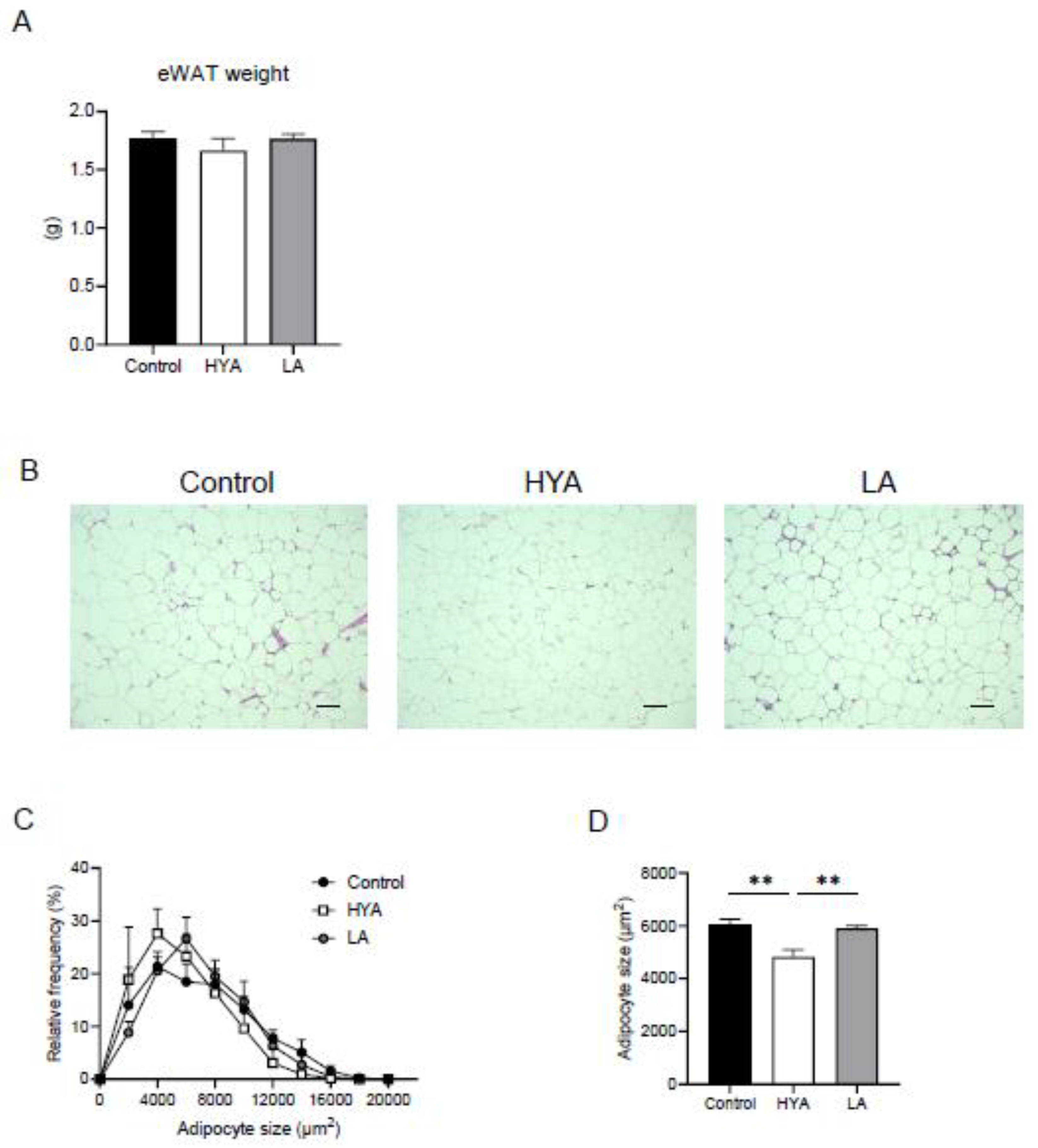 Preprints 154446 g001