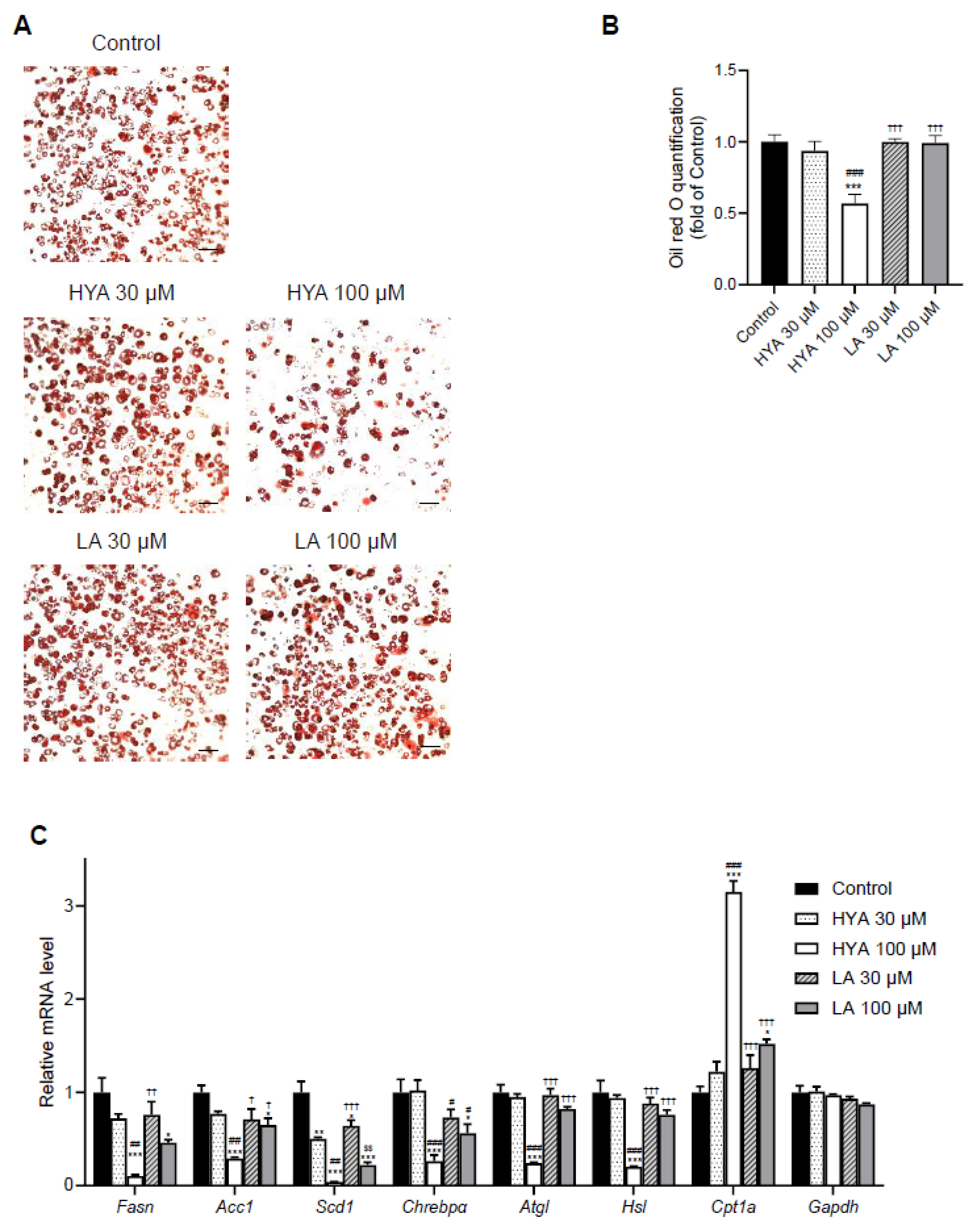 Preprints 154446 g002