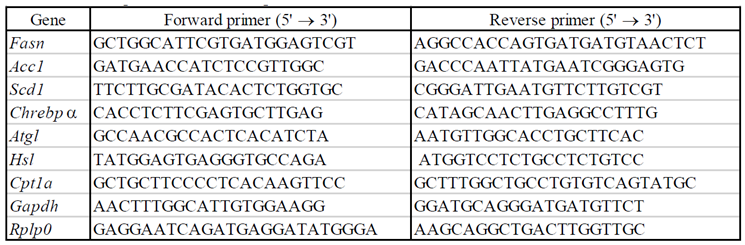 Preprints 154446 i001