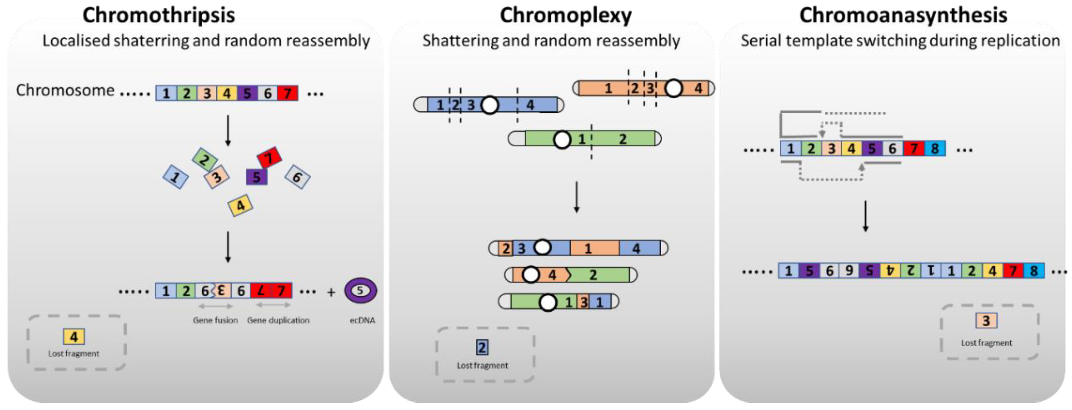 Preprints 143308 g001