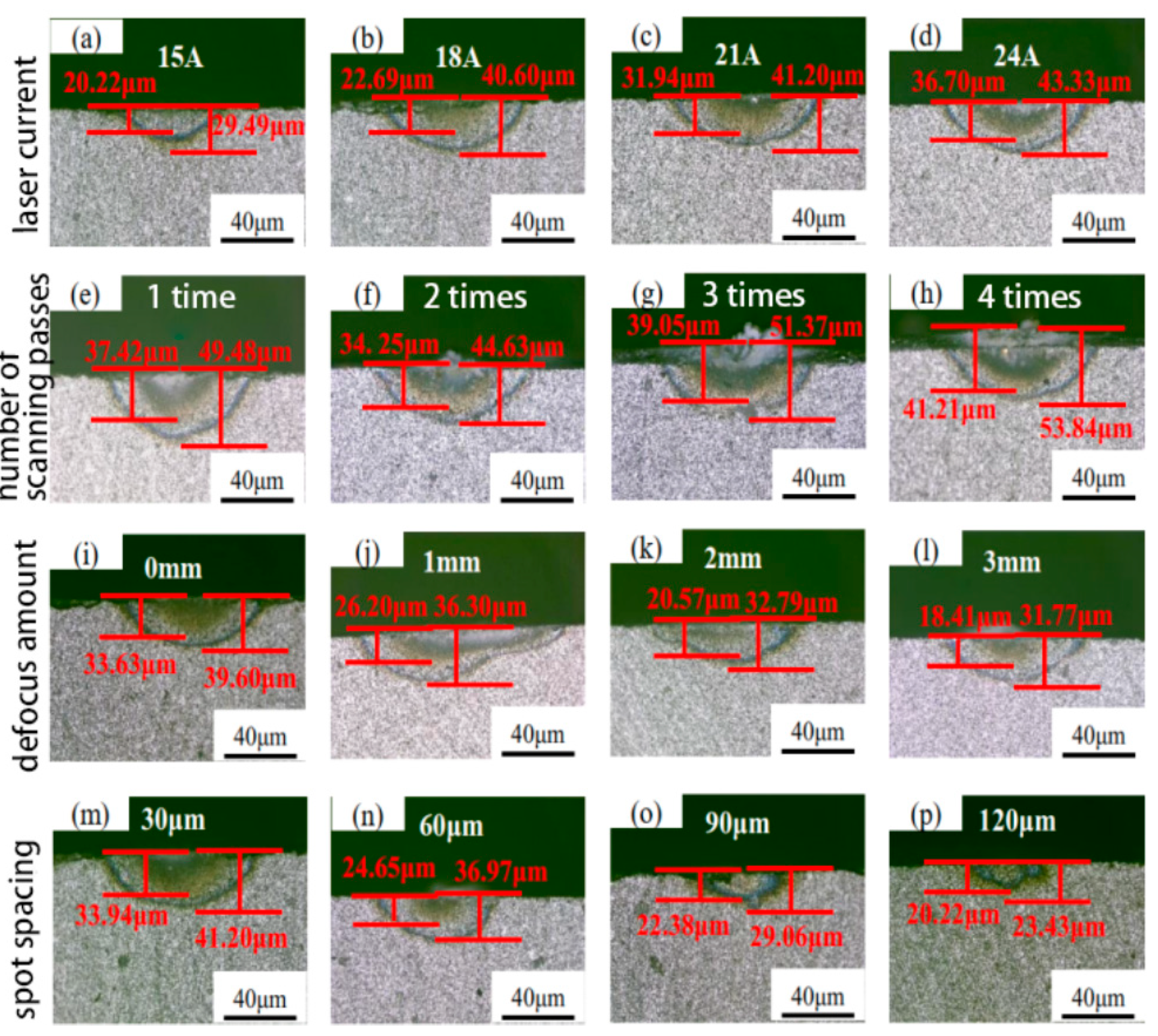Preprints 191312 g005
