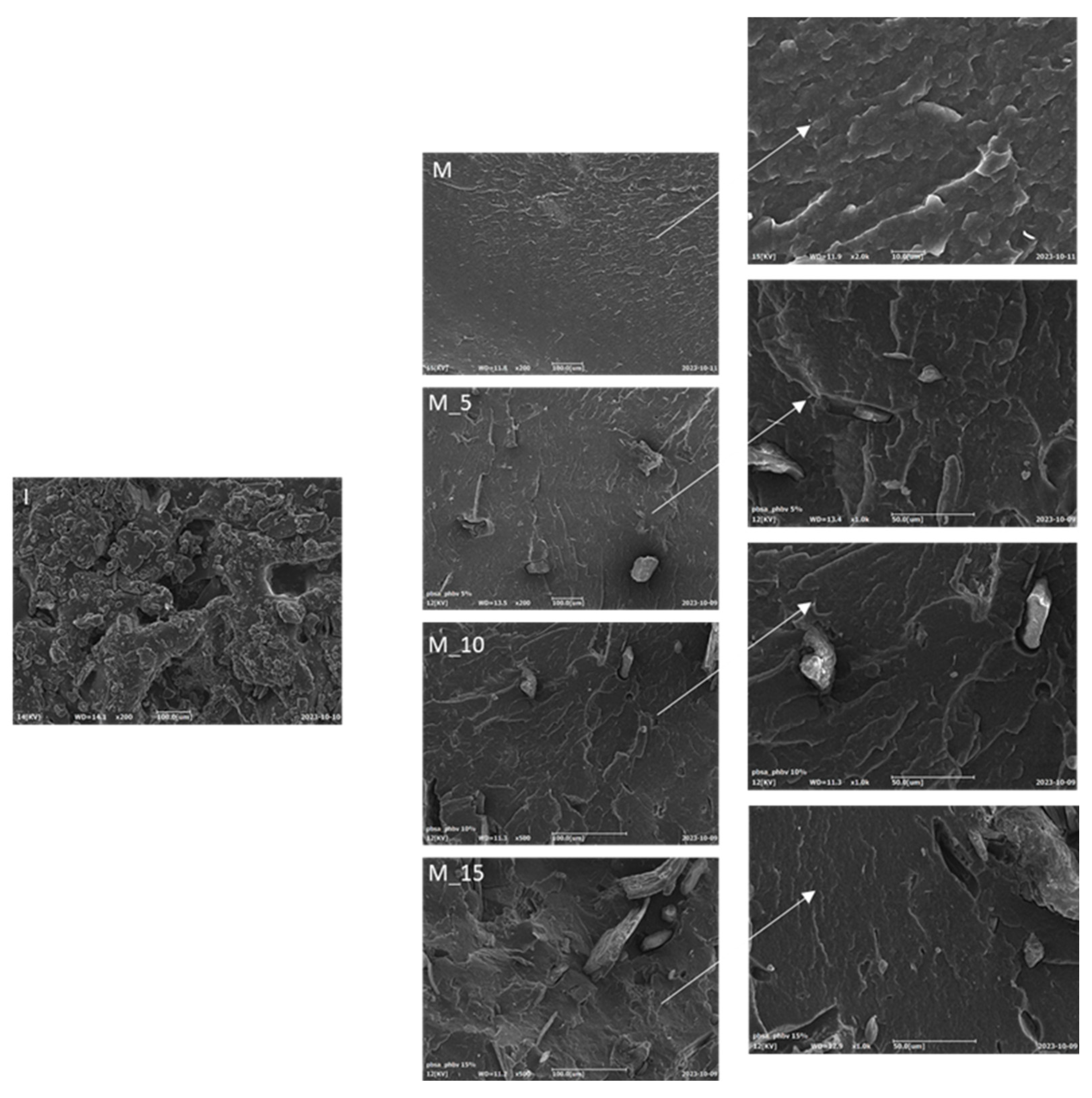 Preprints 150758 g008