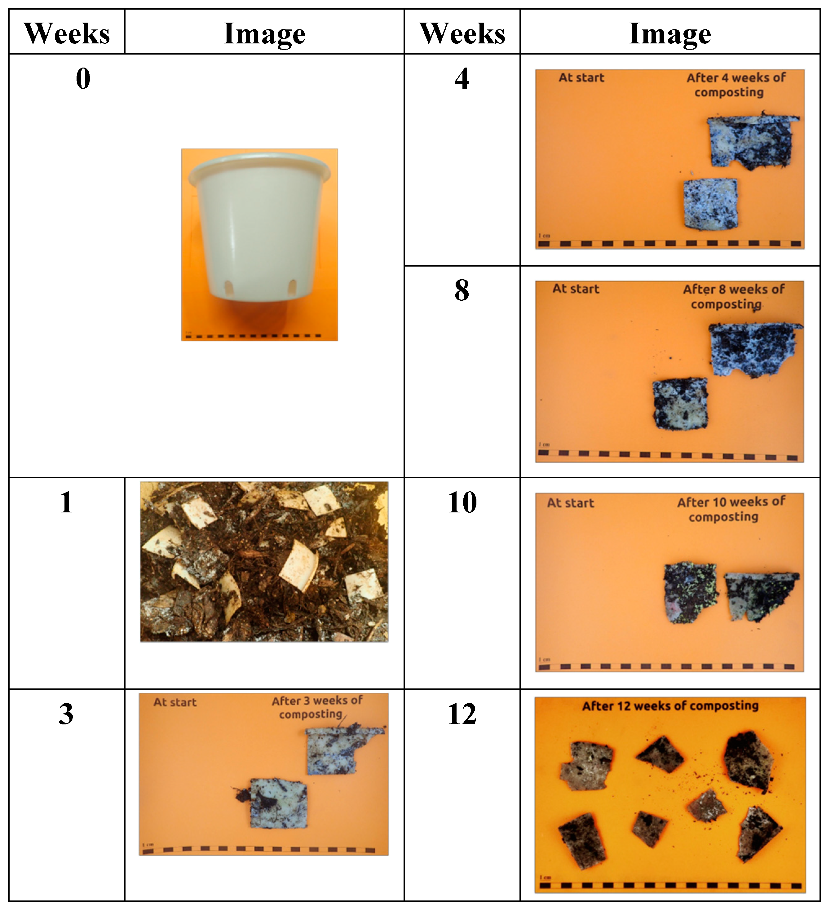 Preprints 150758 g009