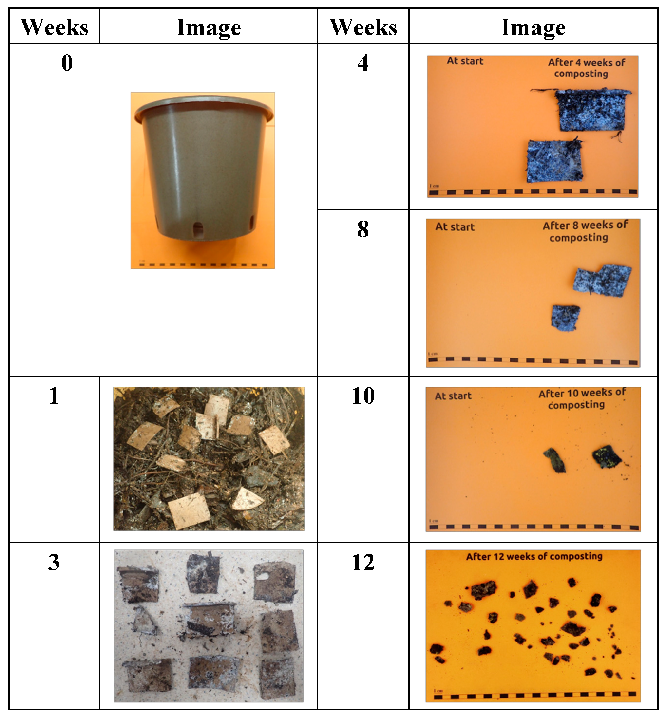 Preprints 150758 g010