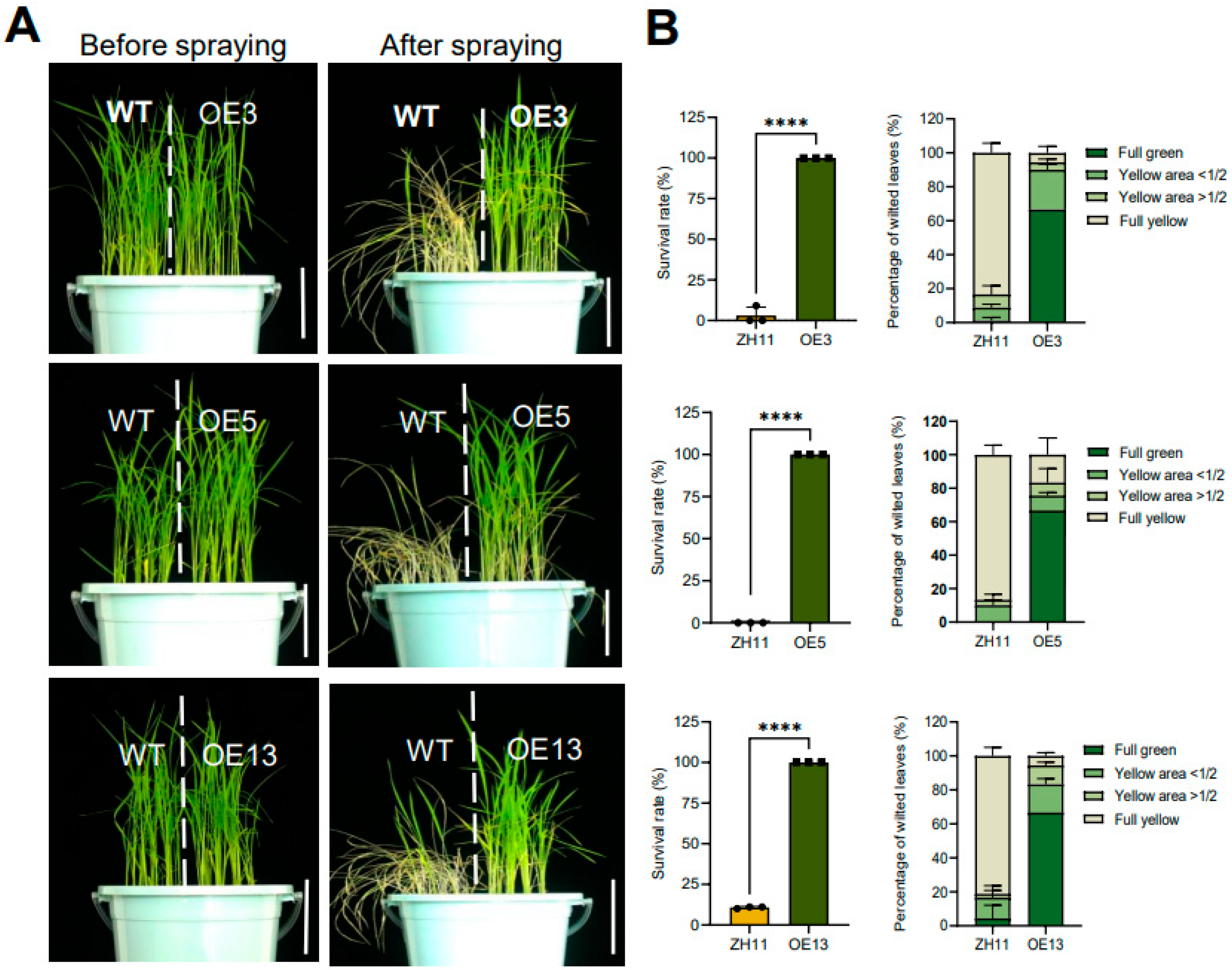 Preprints 160533 g002