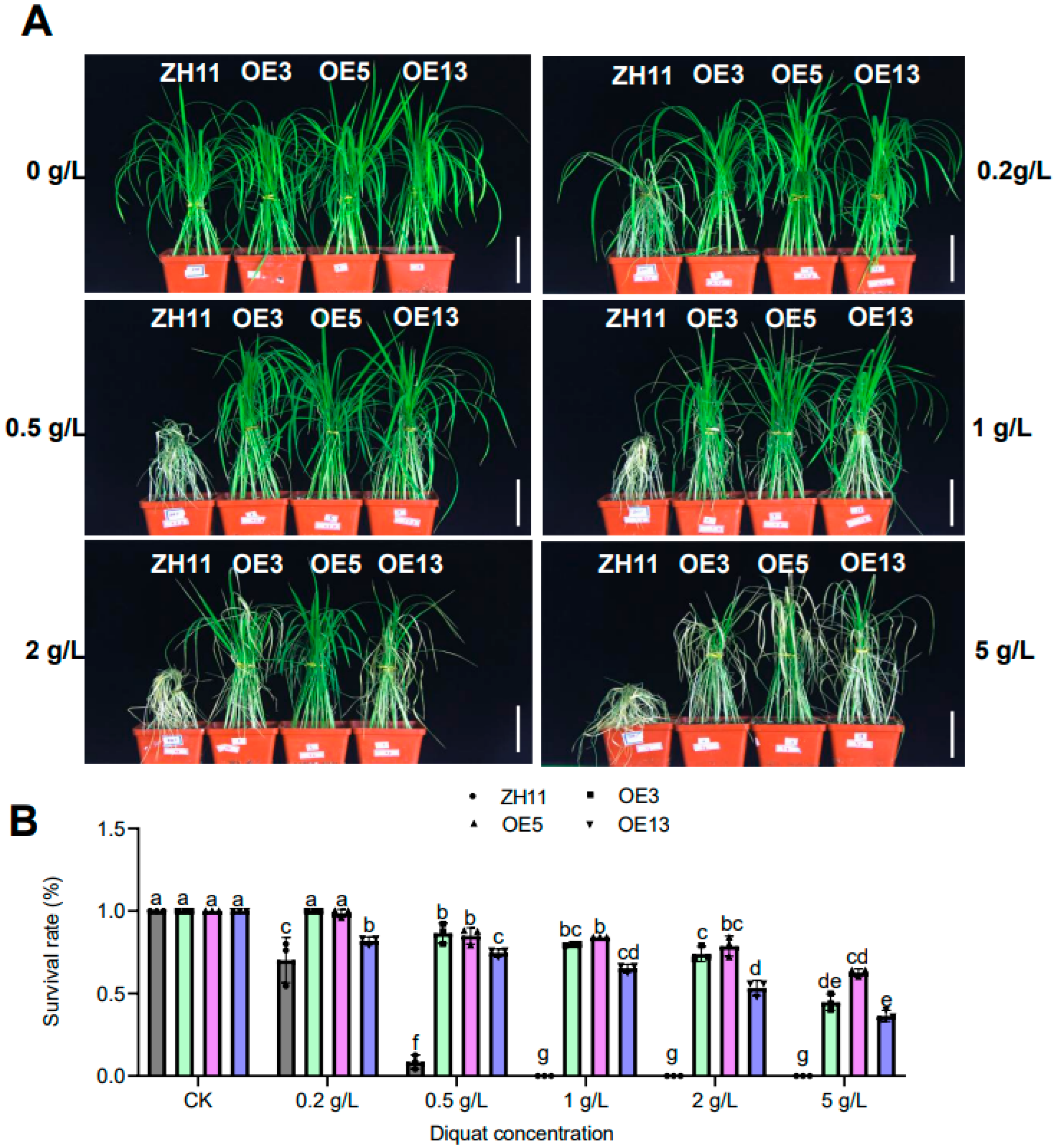 Preprints 160533 g003