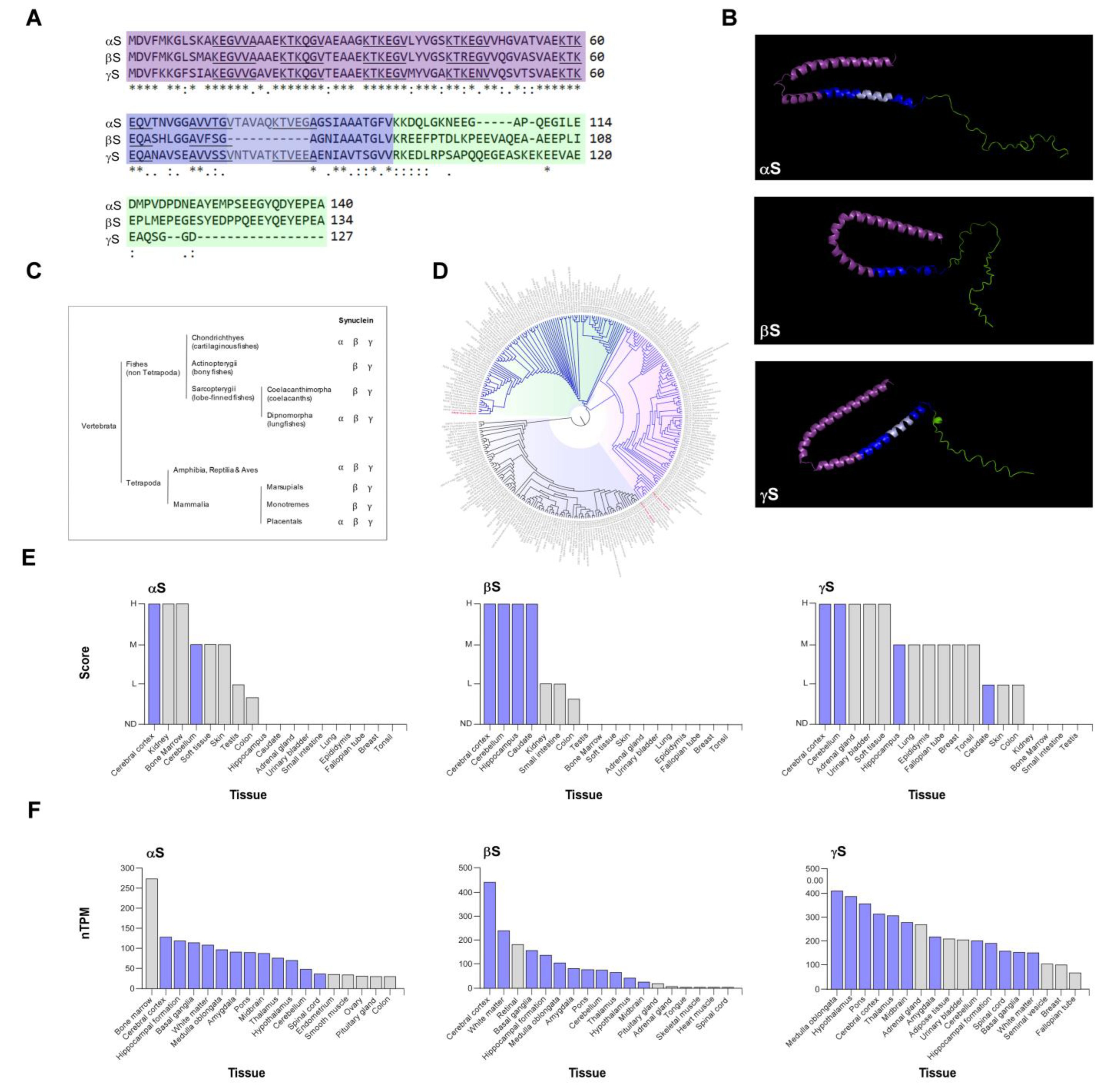Preprints 72845 g001