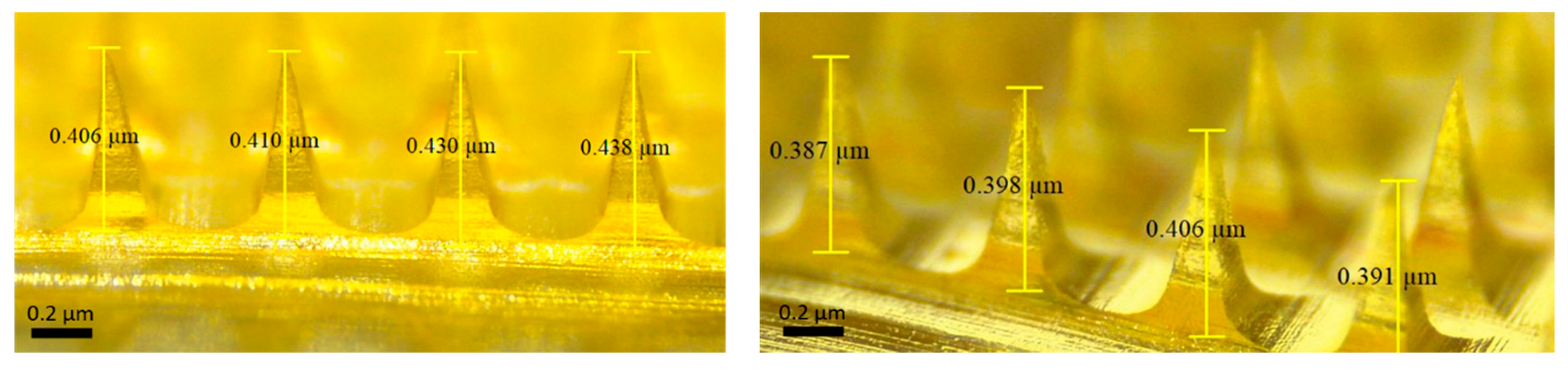Preprints 180939 g003