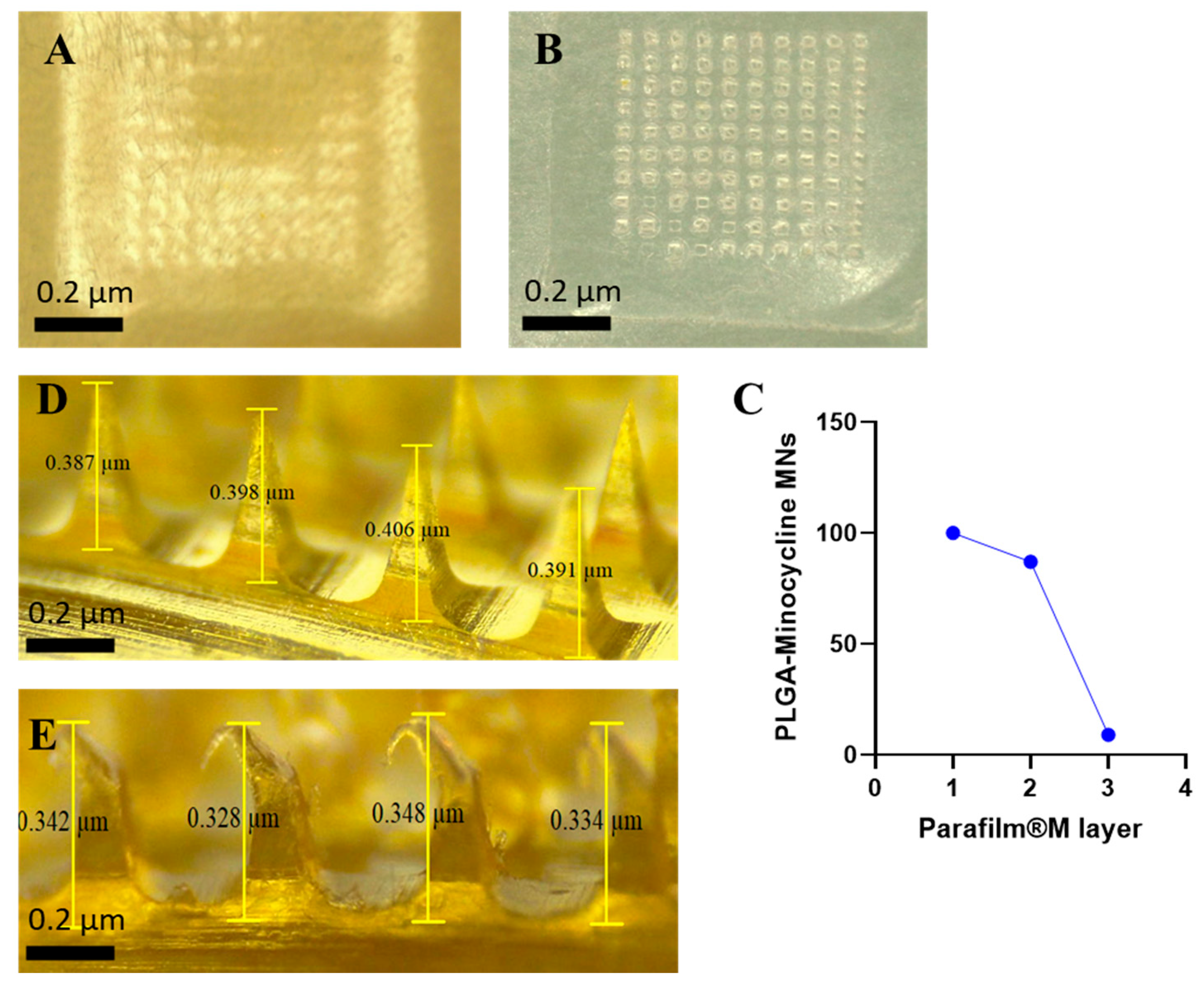 Preprints 180939 g004