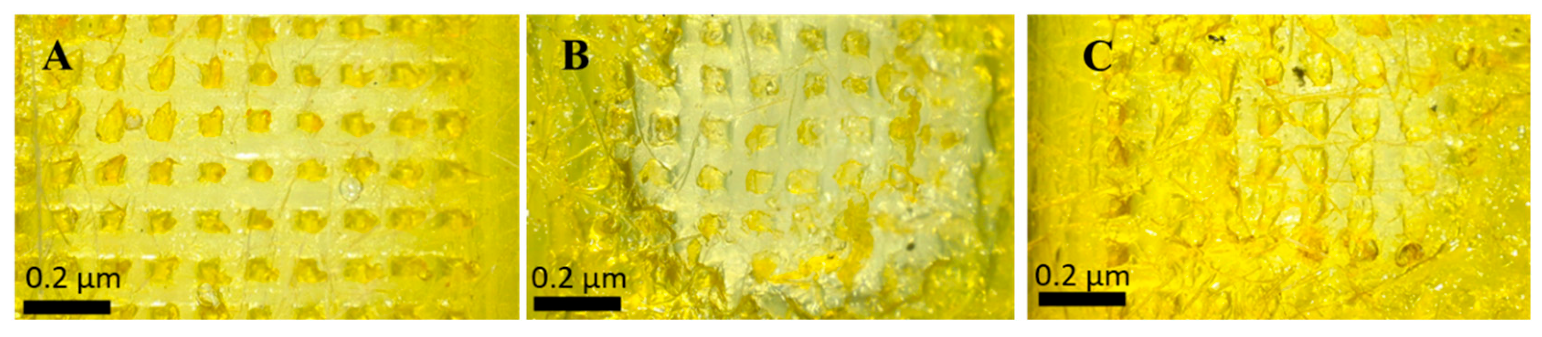 Preprints 180939 g005