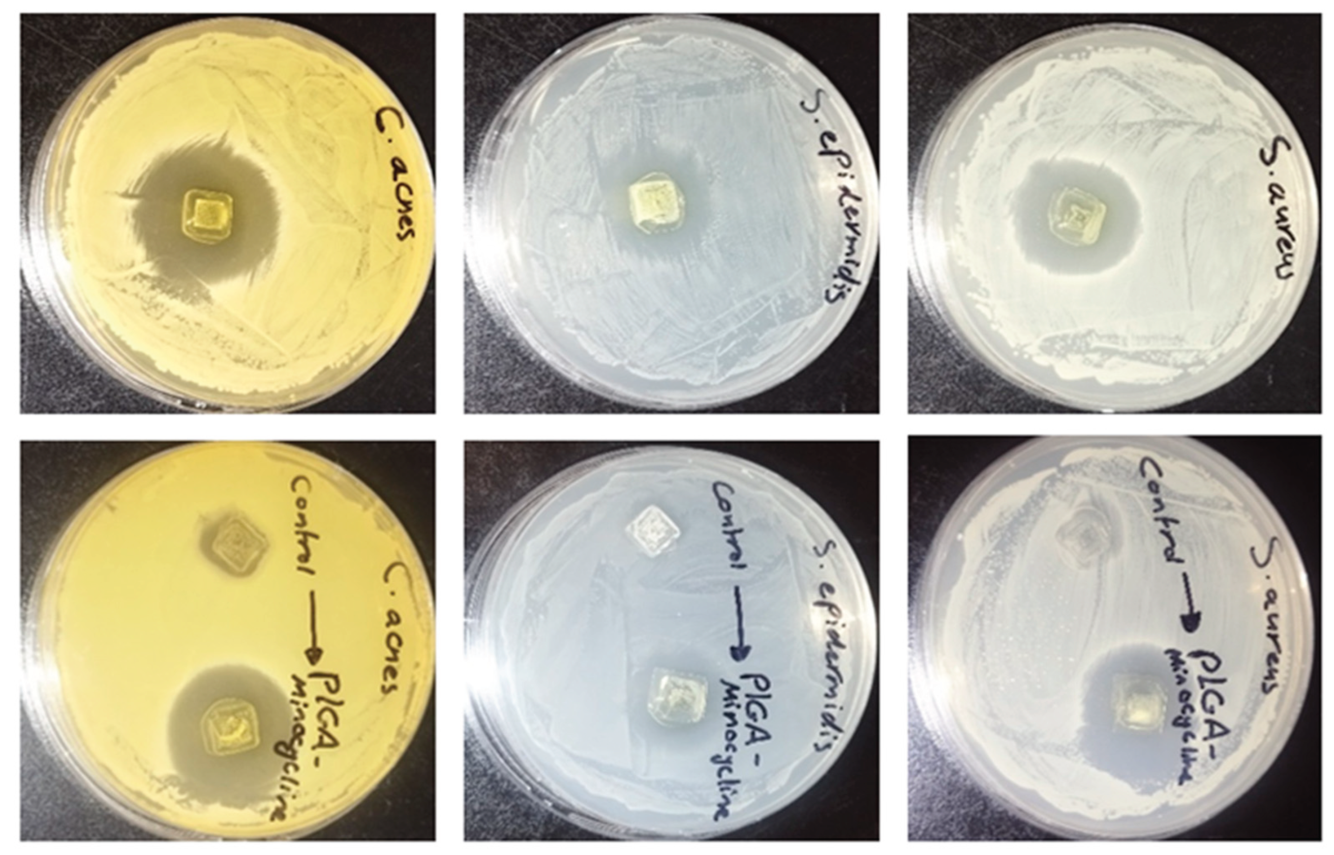 Preprints 180939 g007