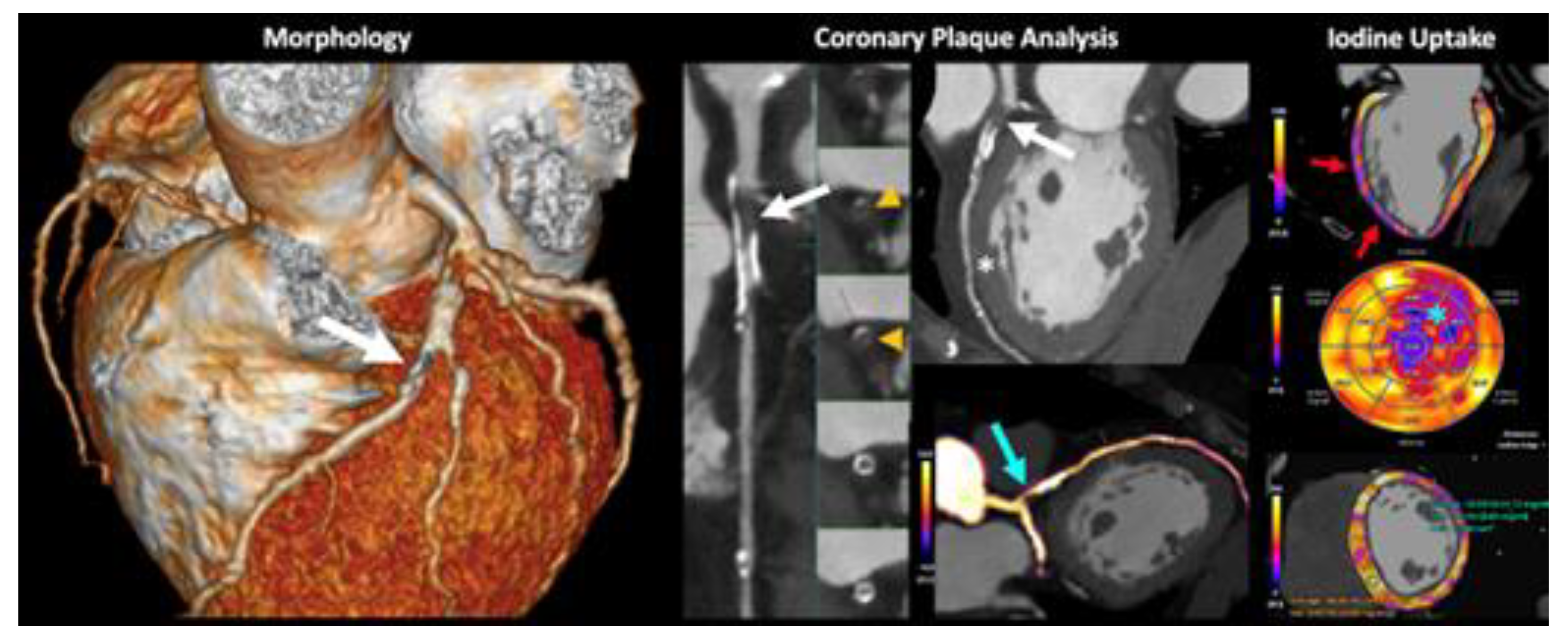 Preprints 107240 g008