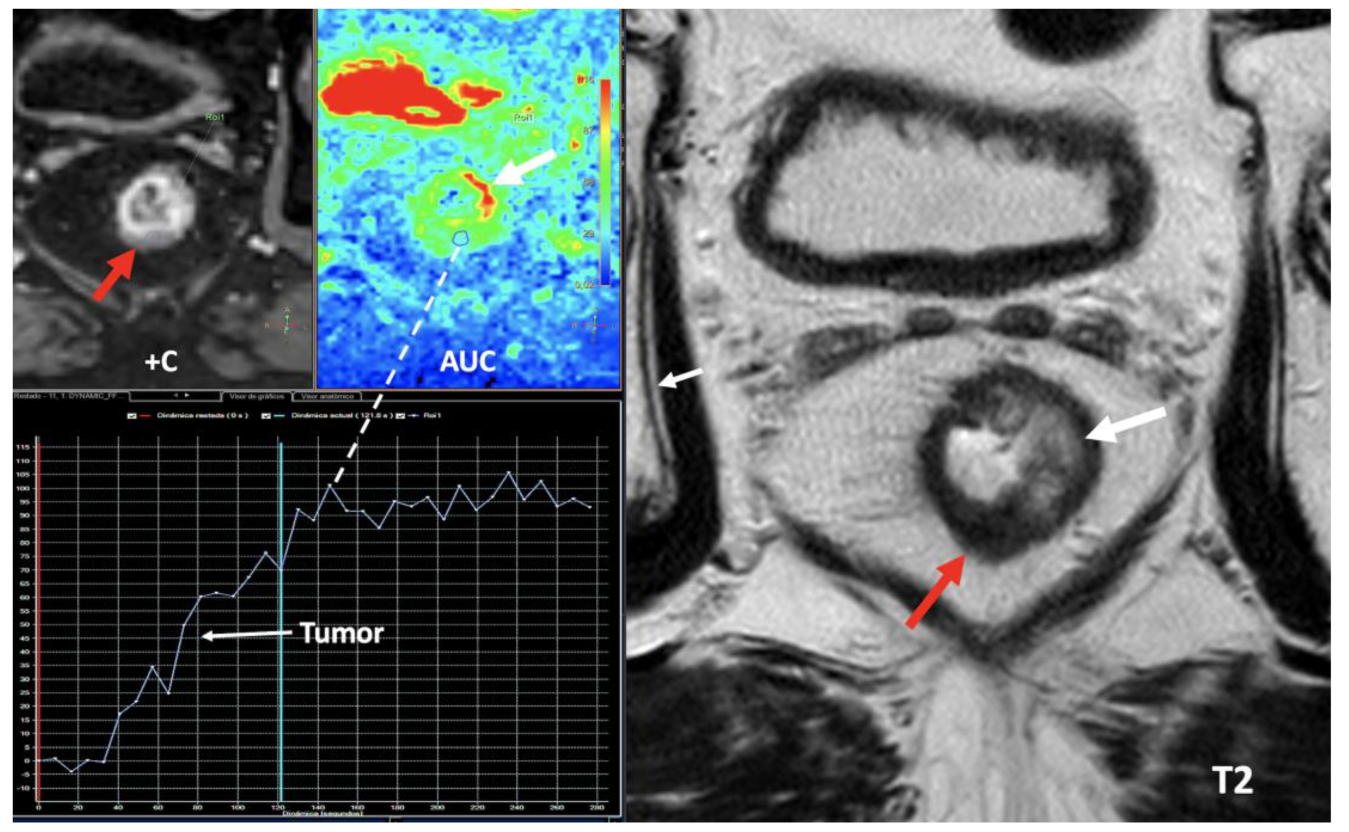 Preprints 107240 g018a