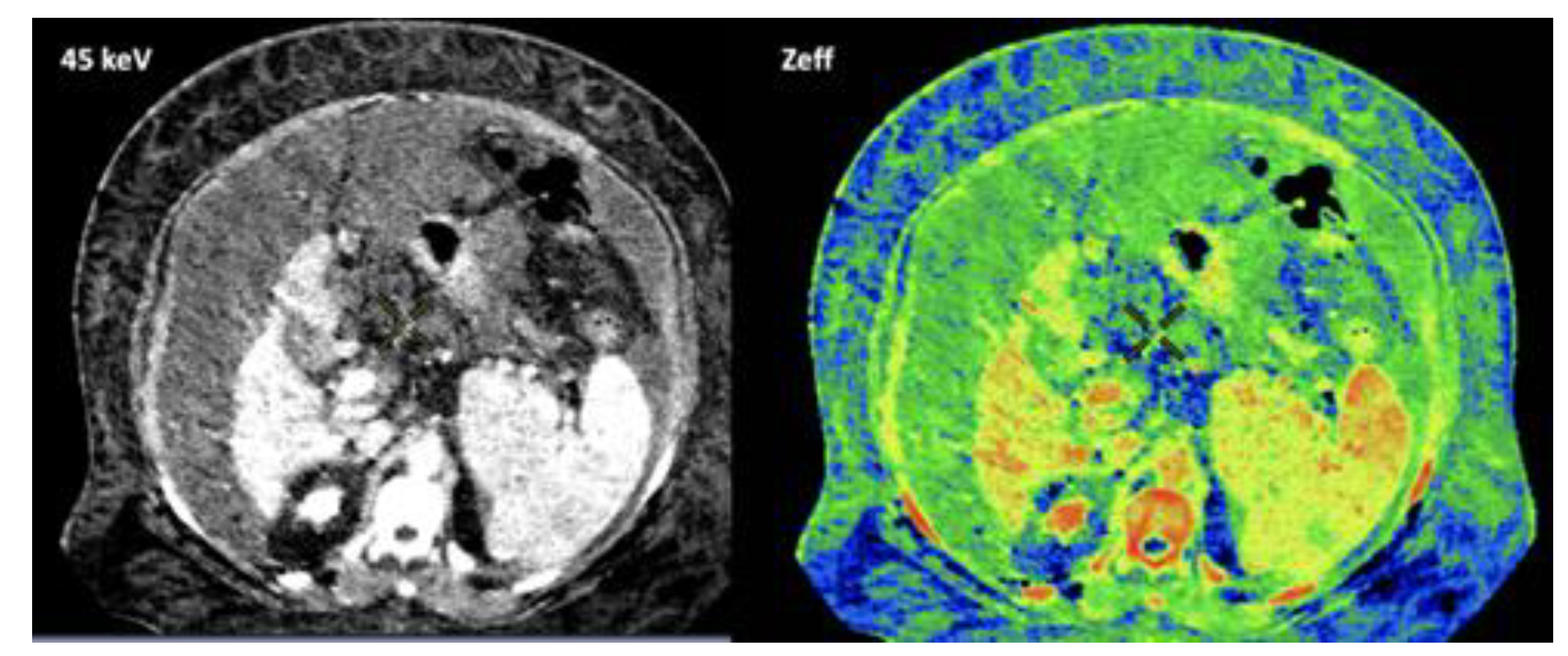Preprints 107240 g020