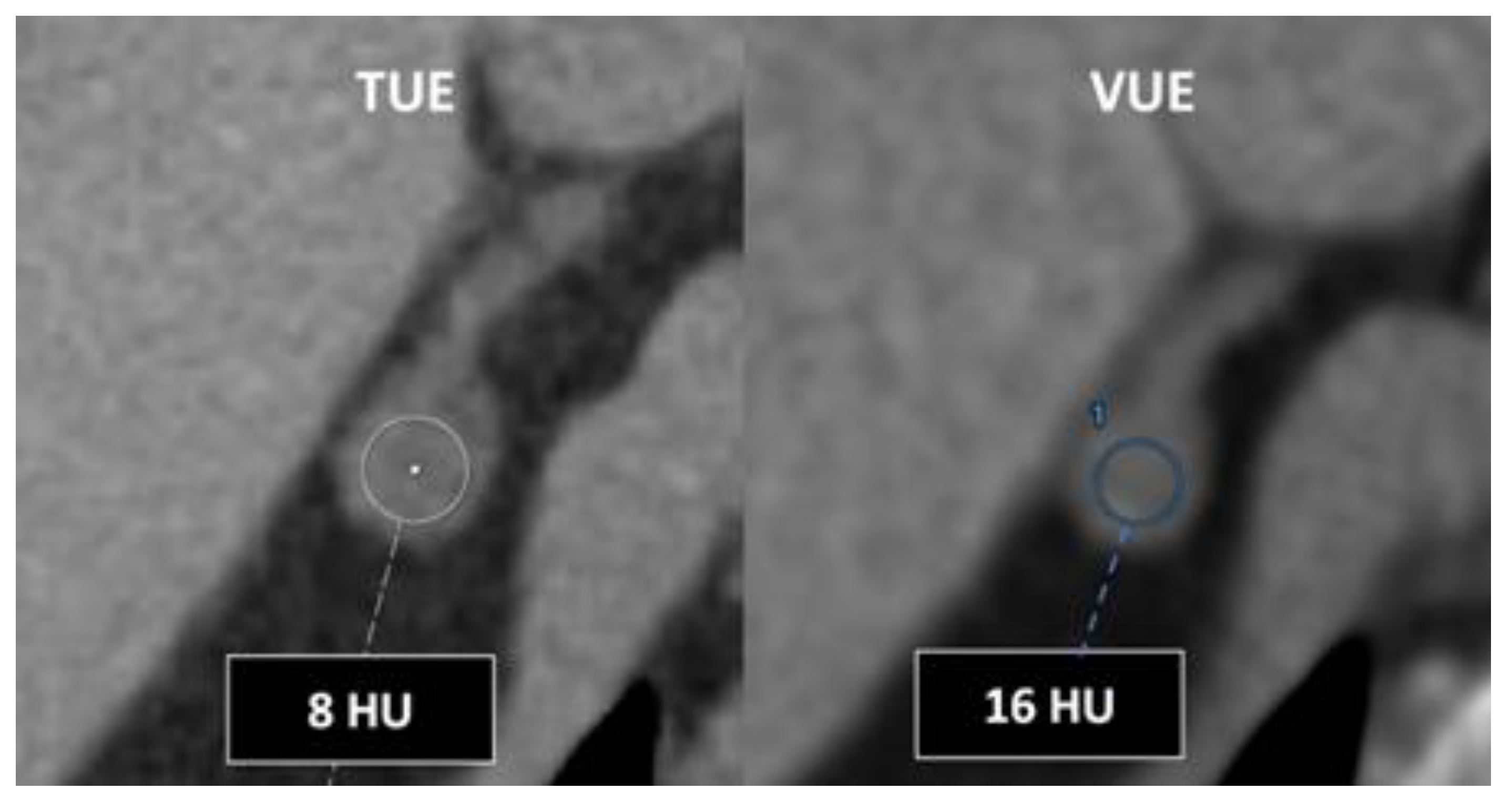 Preprints 107240 g021