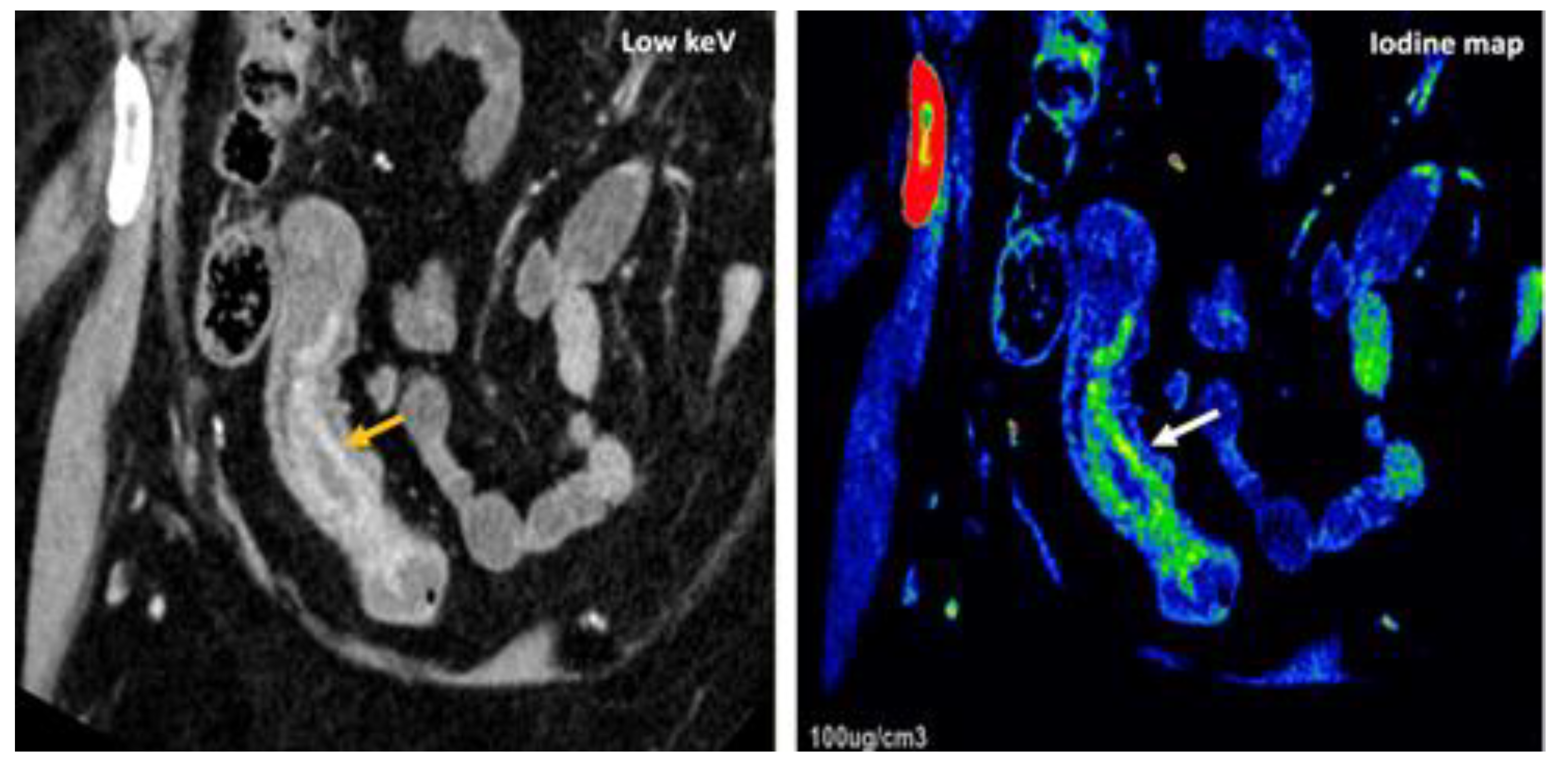 Preprints 107240 g024