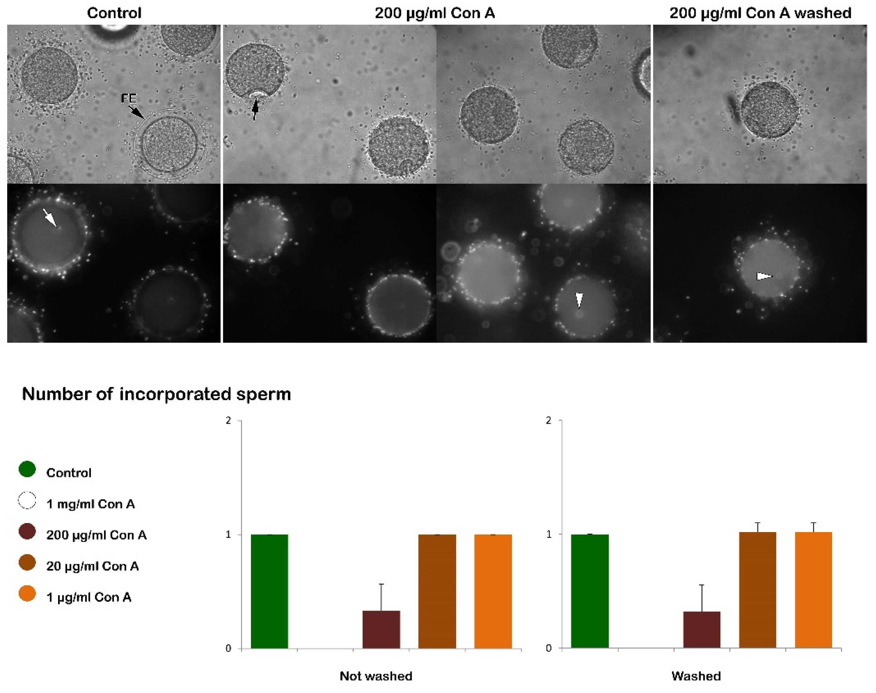 Preprints 161806 g001