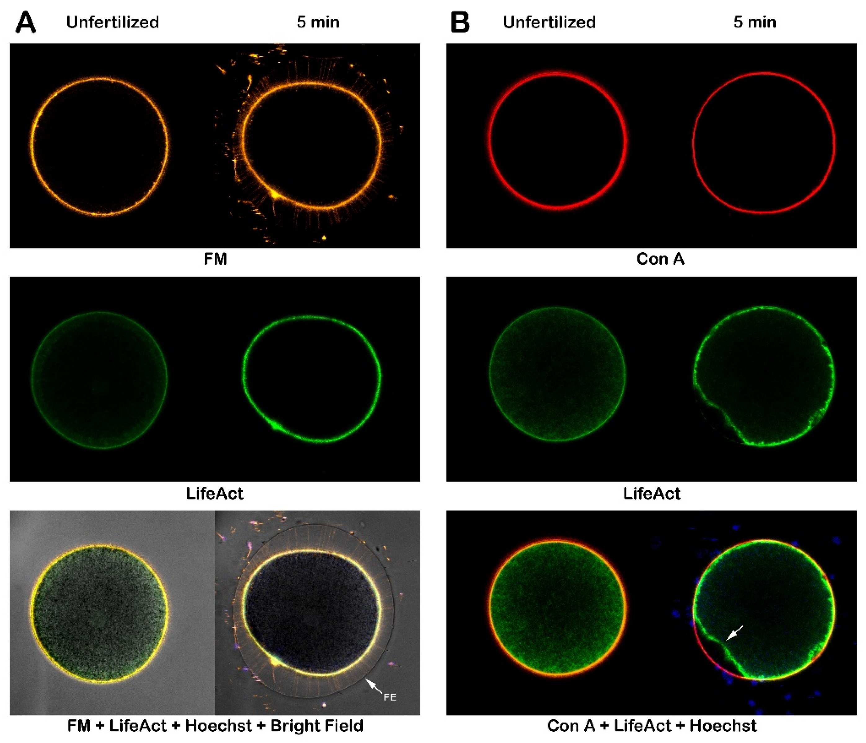Preprints 161806 g008