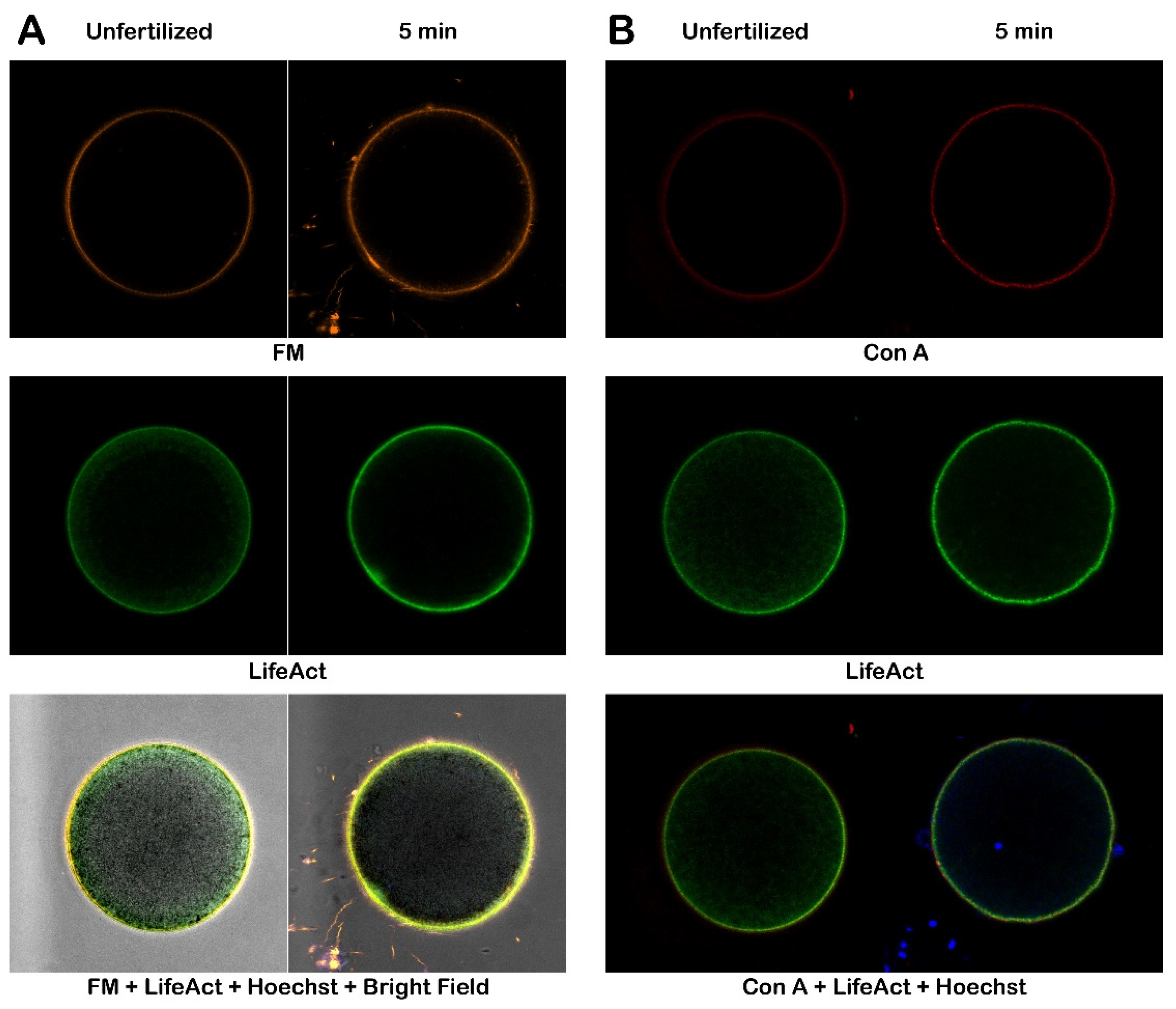 Preprints 161806 g009