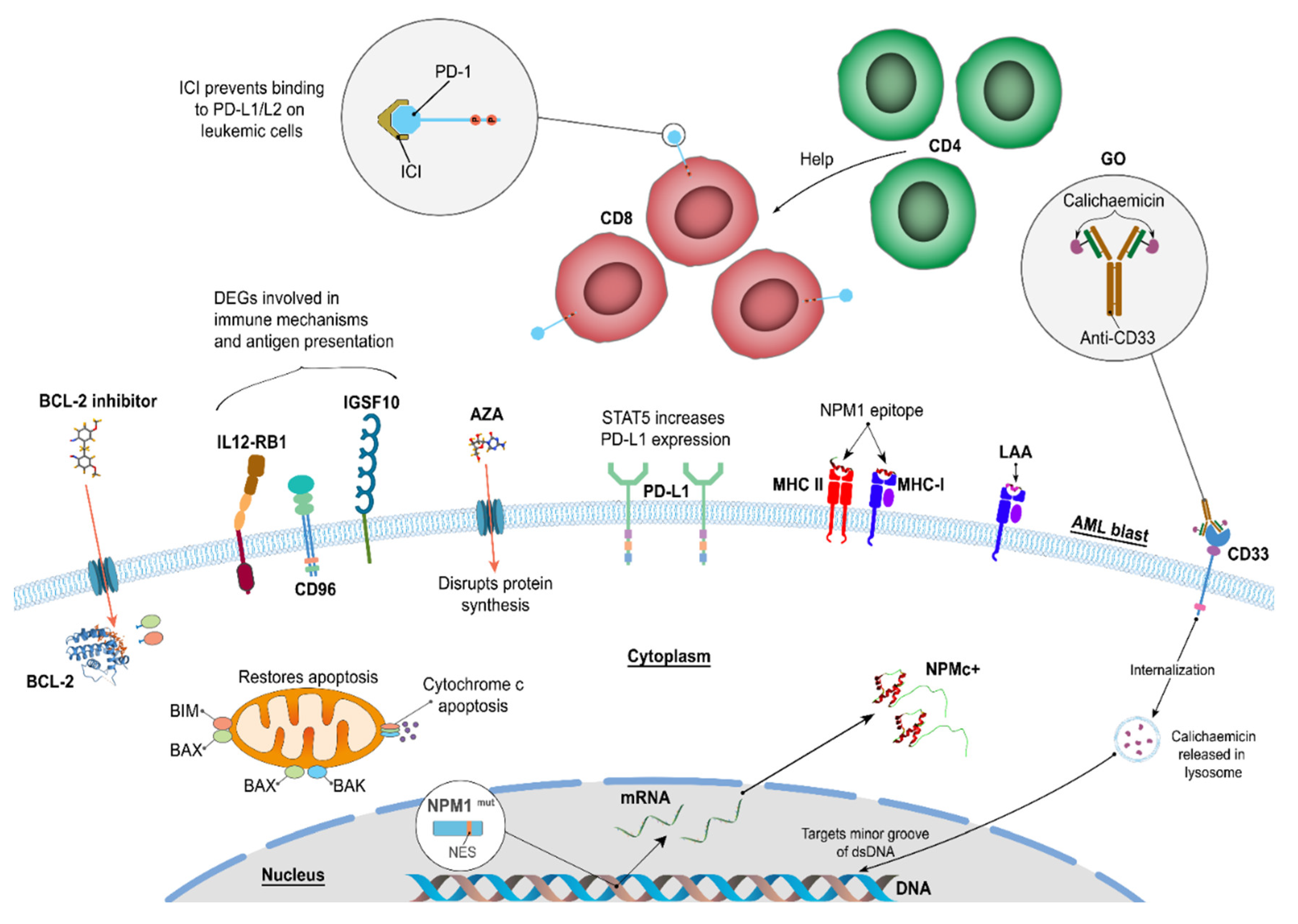 Preprints 109781 g002