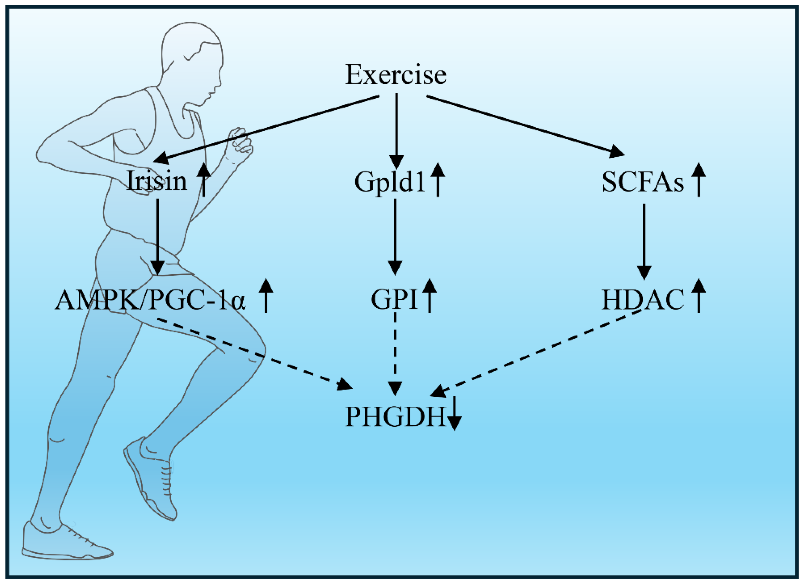 Preprints 200454 g002