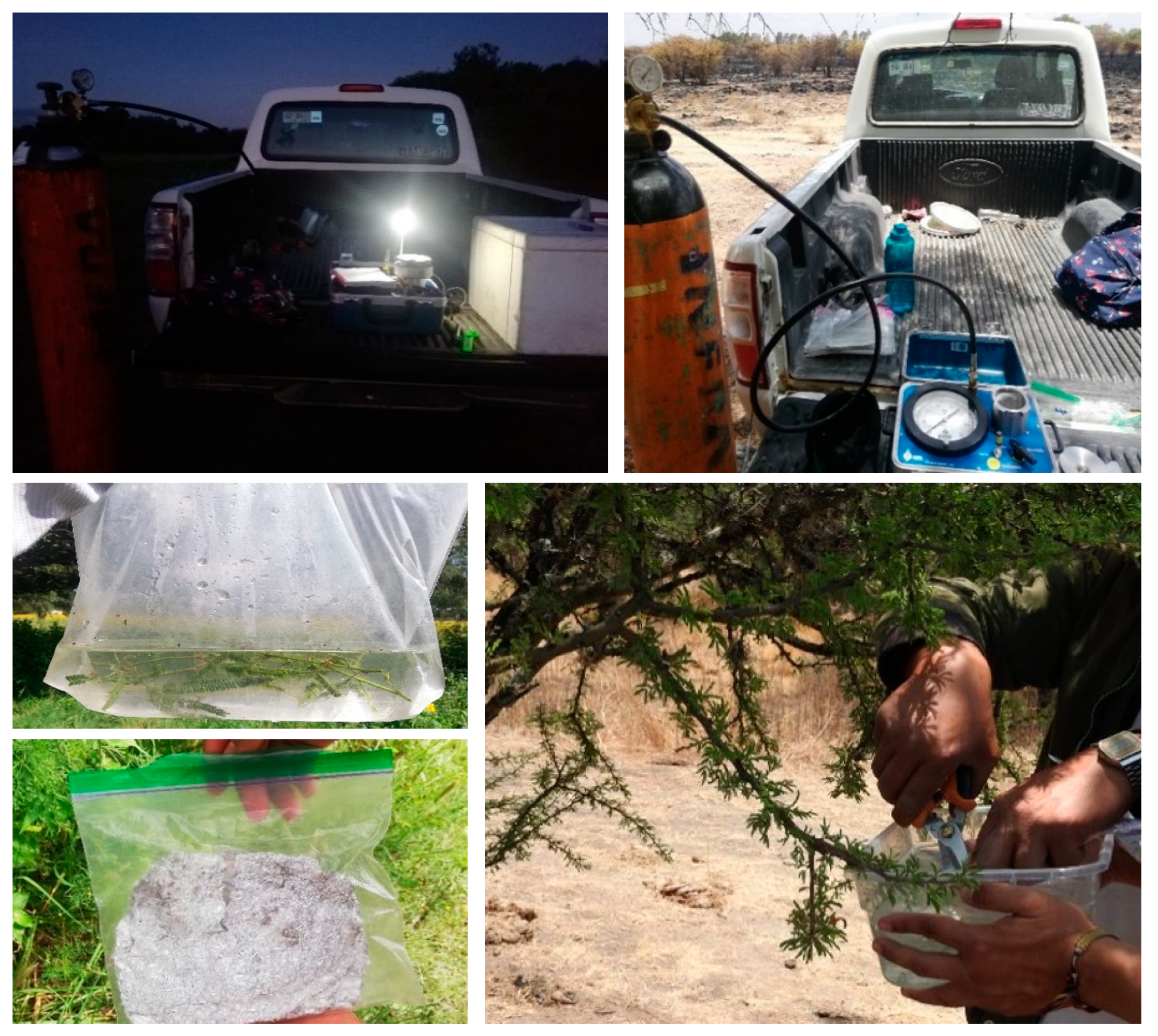 Preprints 148270 g002