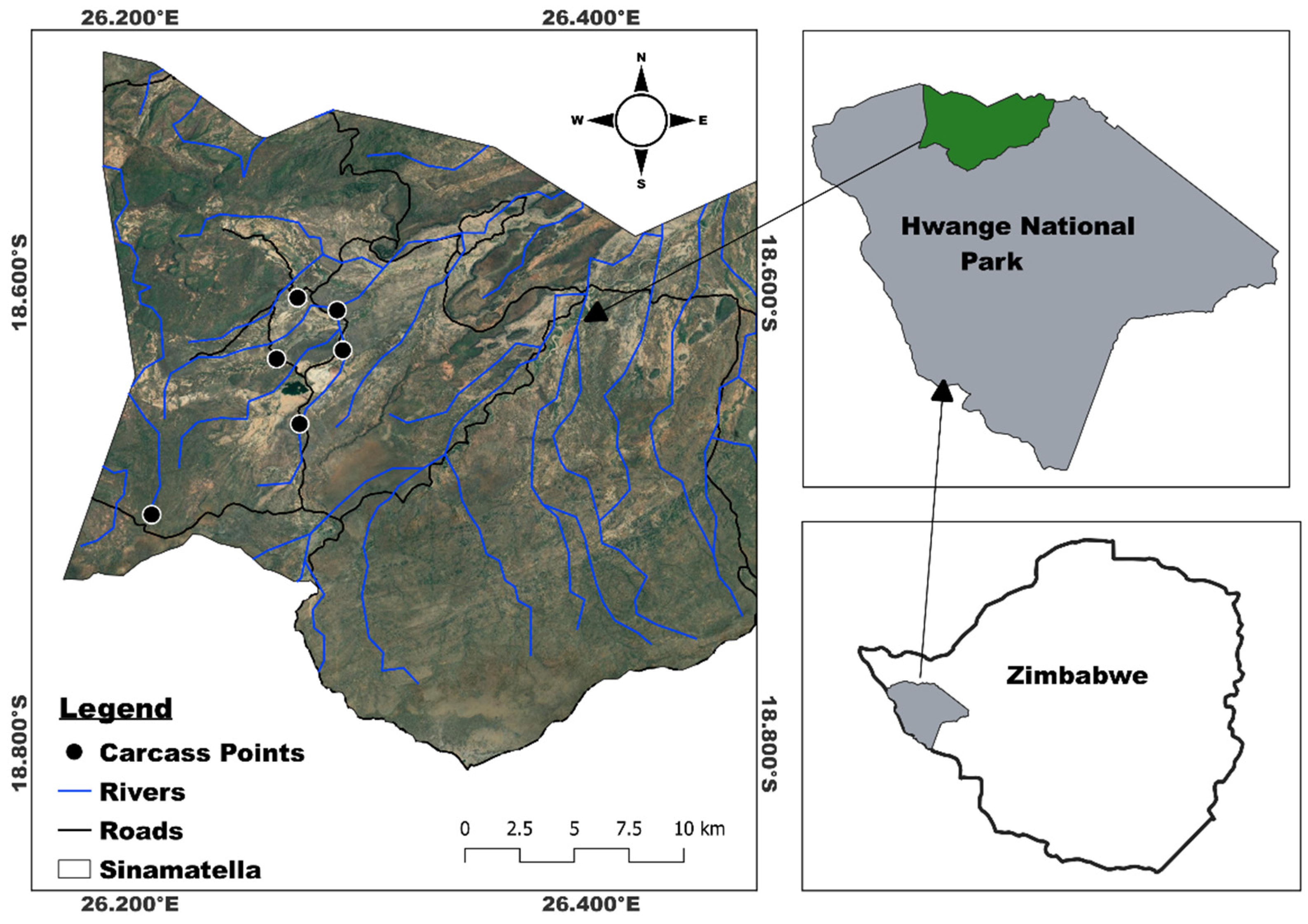Preprints 80502 g001