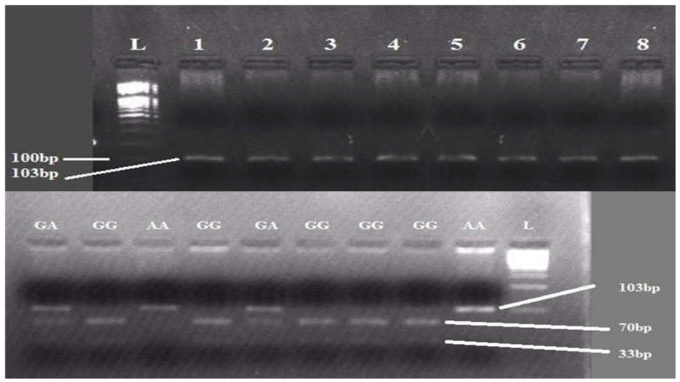 Preprints 233029 g008 Preprints 233029 g008