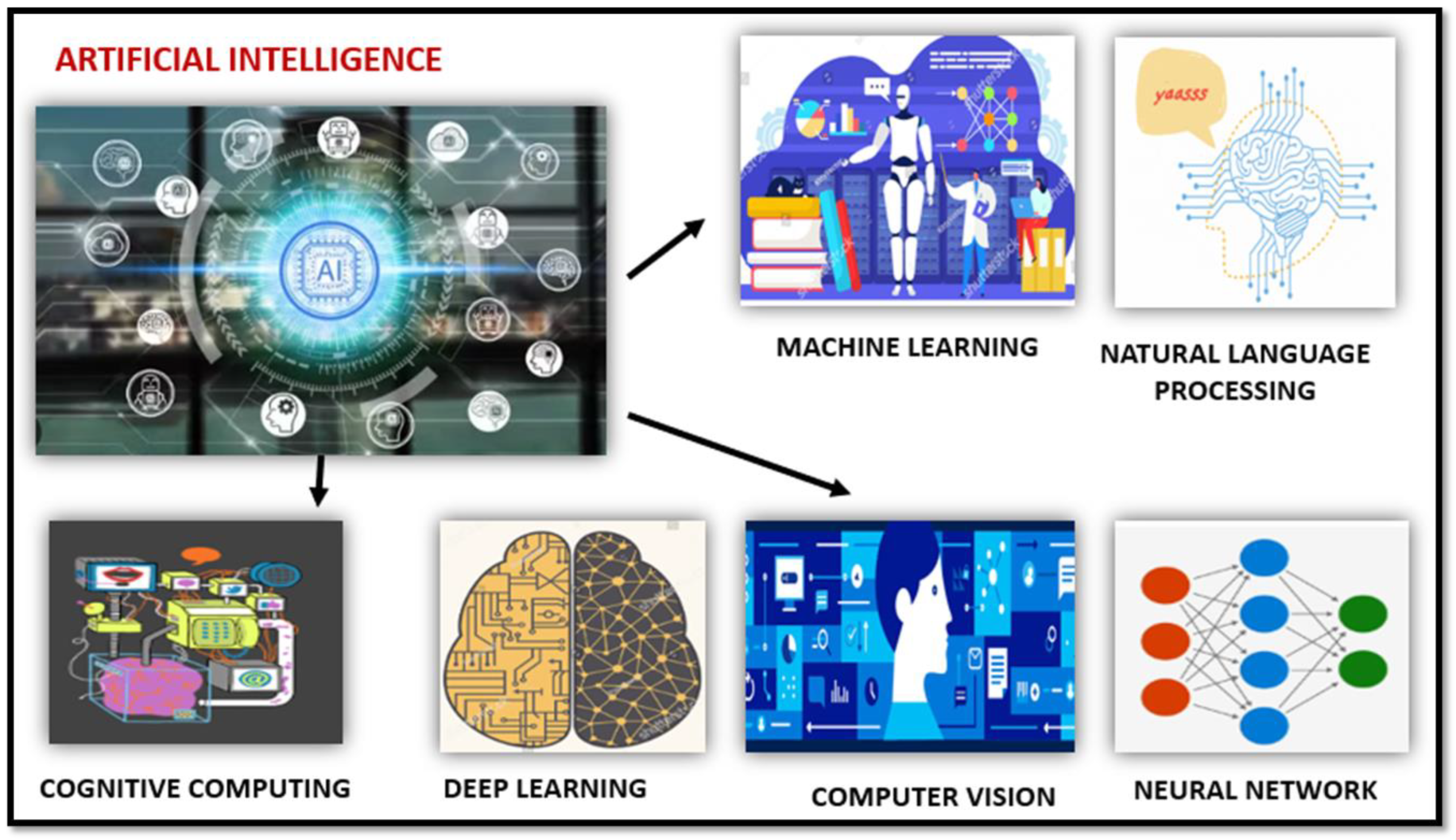 Preprints 141544 g002