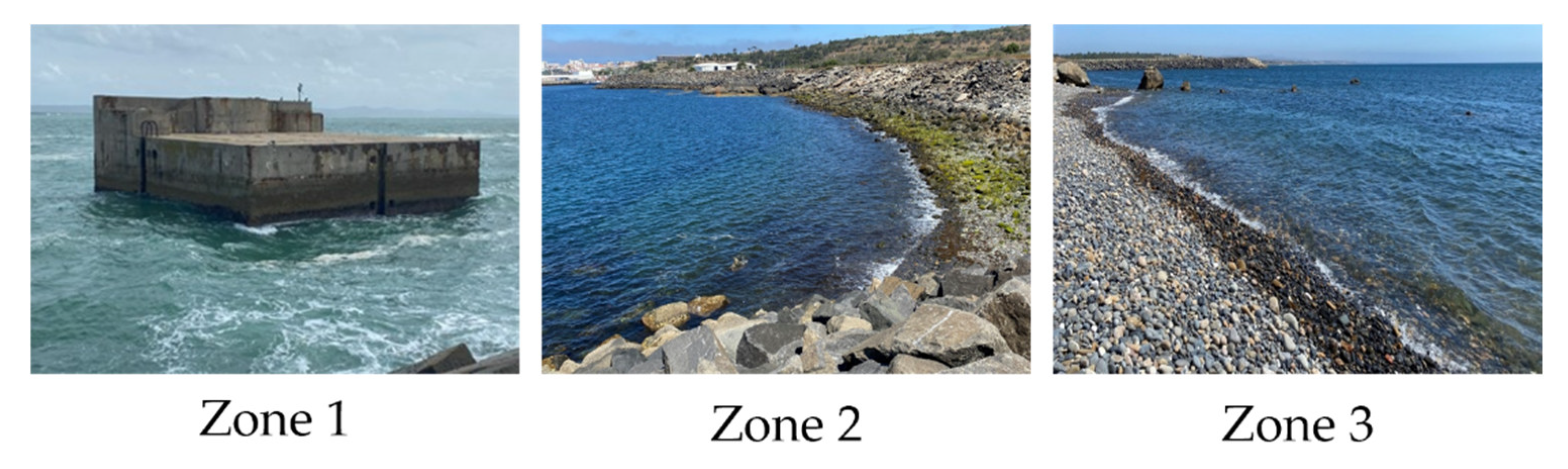 Preprints 182304 g020