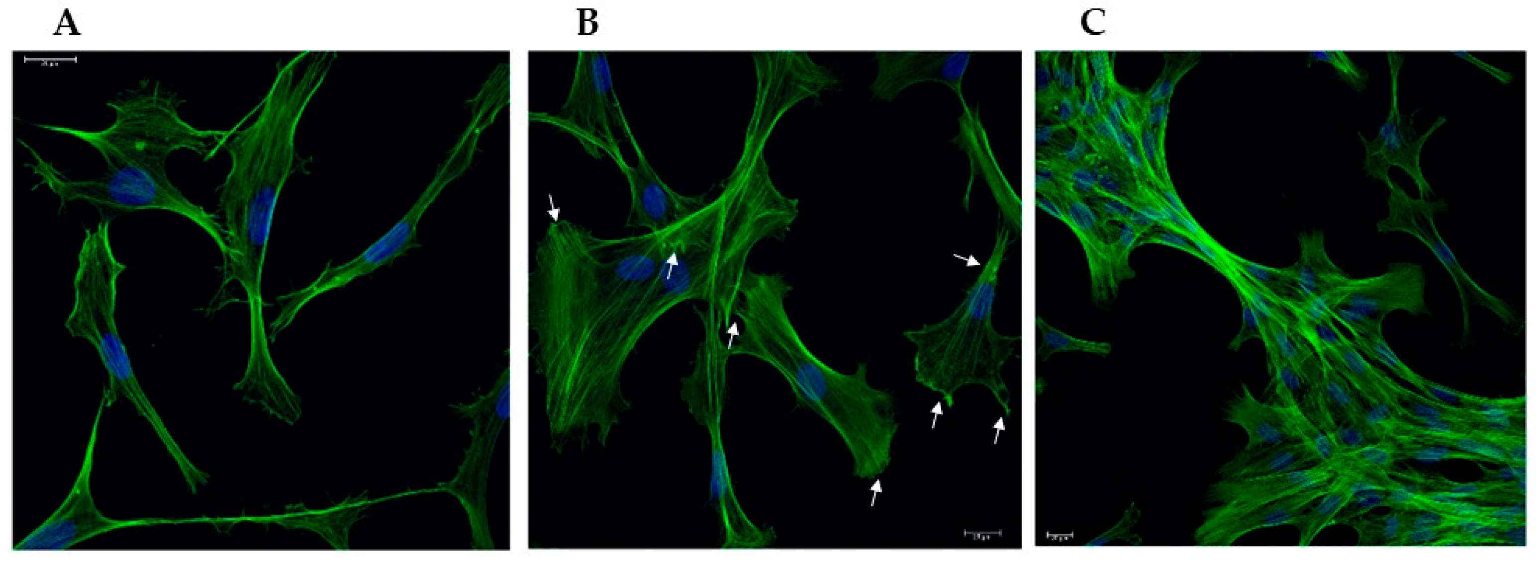 Preprints 153722 g001